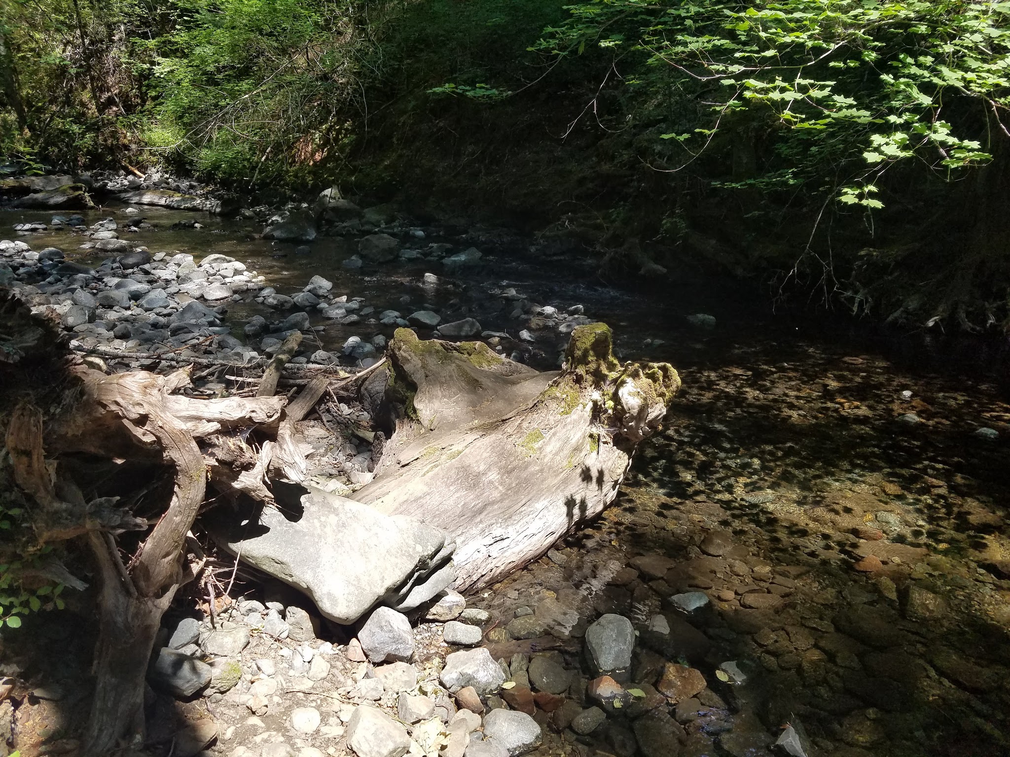 Sam Brown Horse Campground