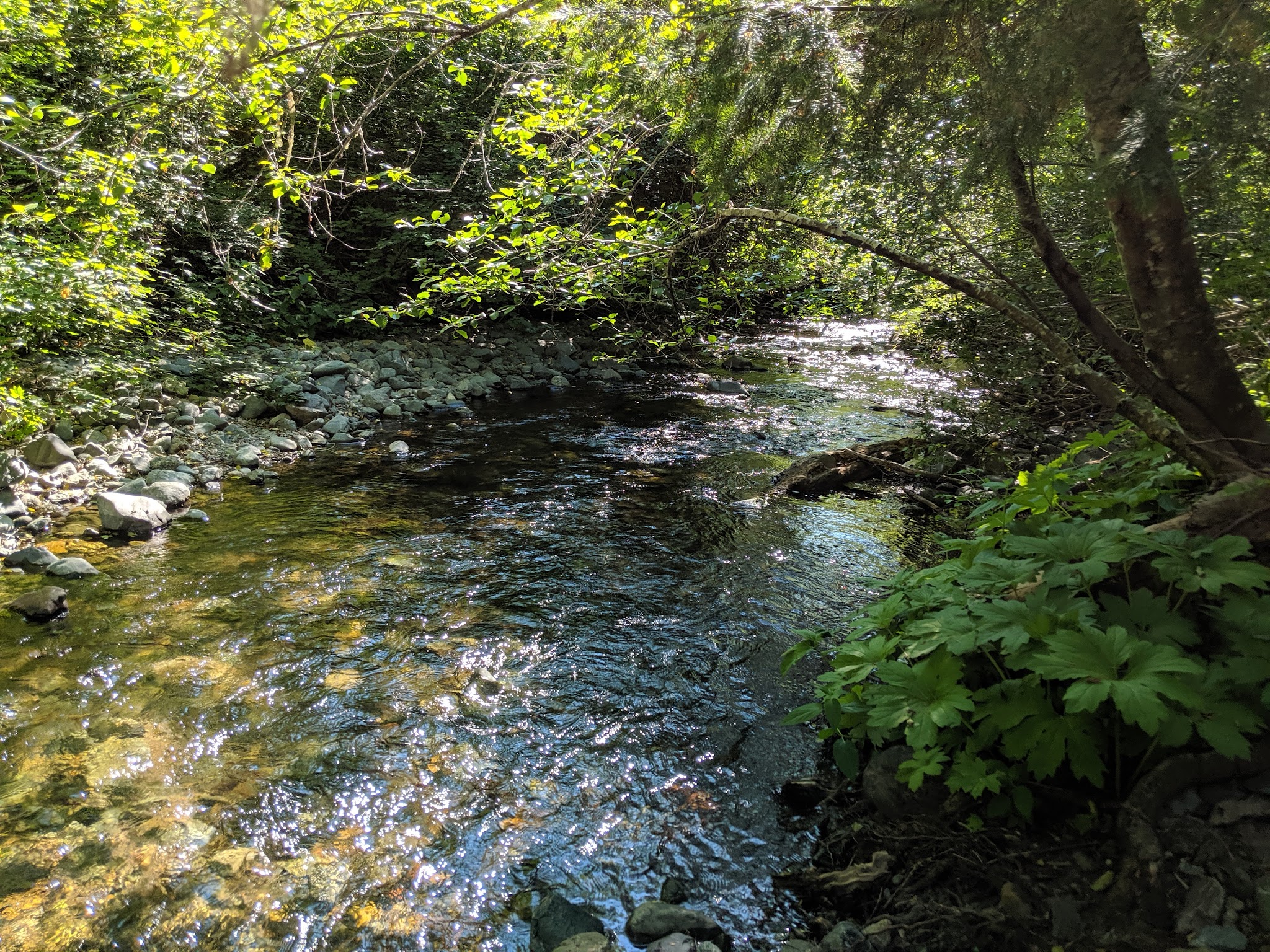 Sam Brown Horse Campground