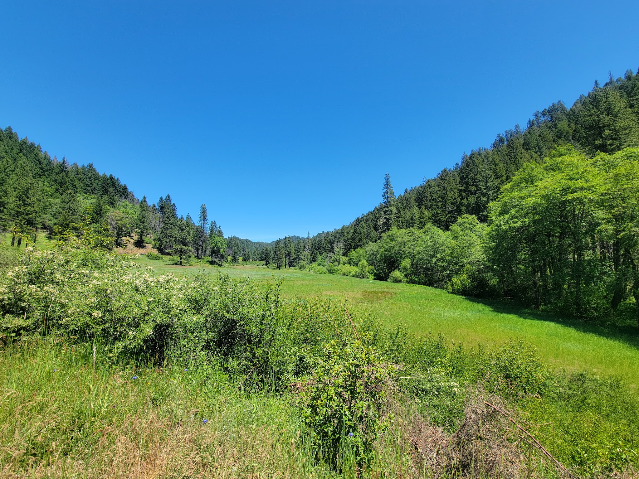 Sam Brown Horse Campground