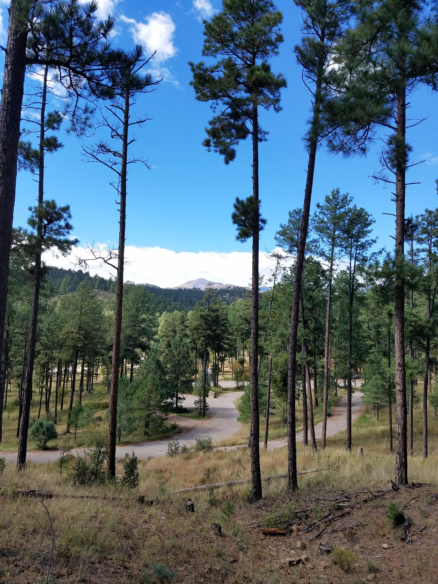 Cedar Creek (Sam Tobias)