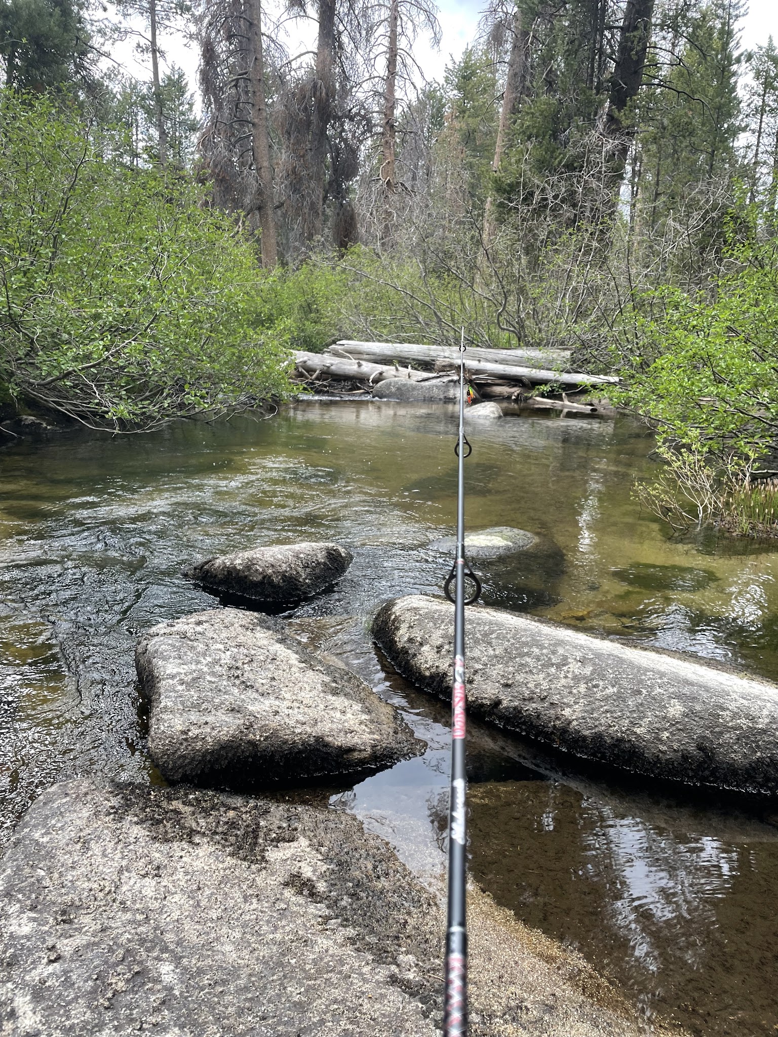 Sample Meadow Campground