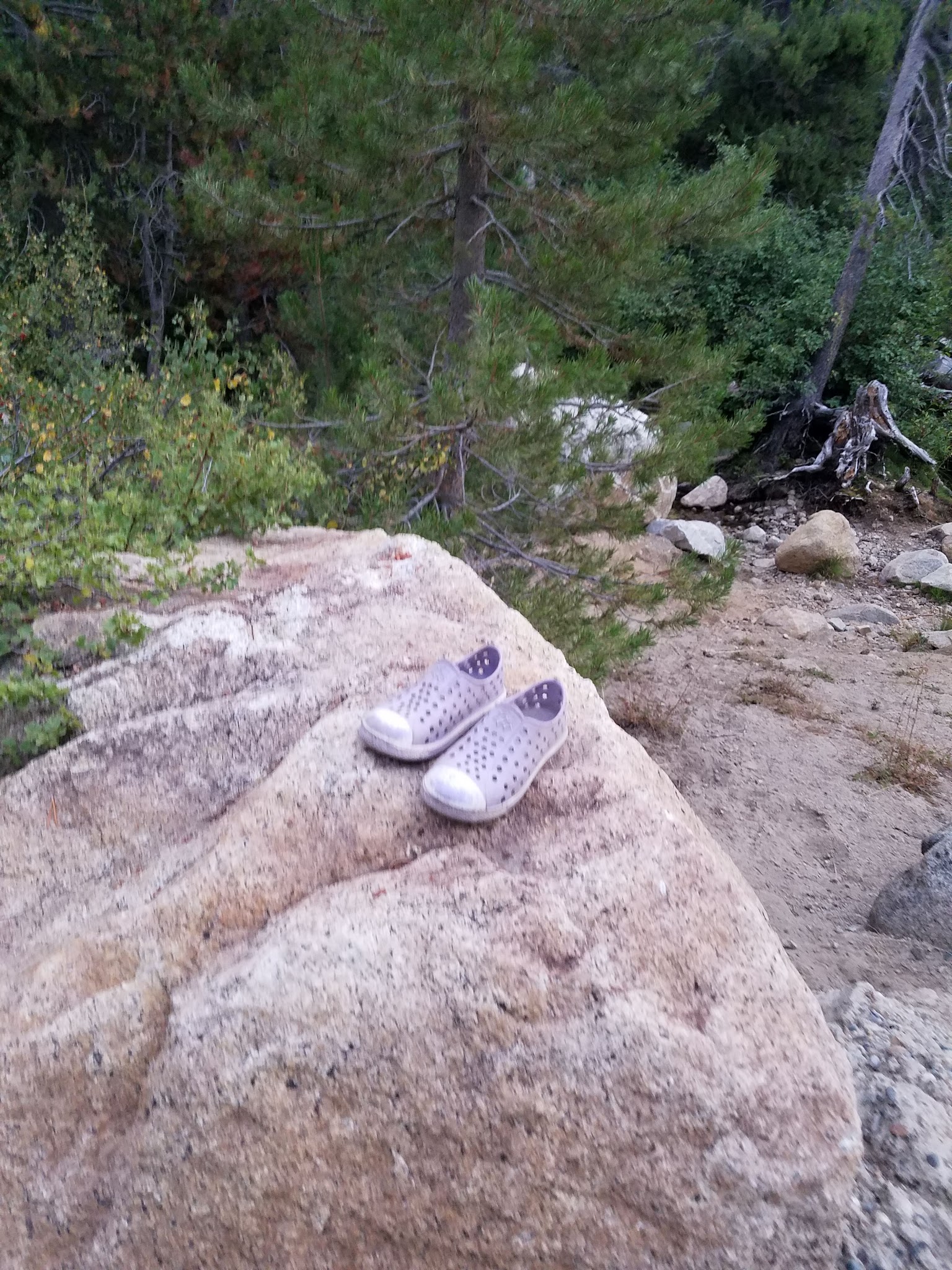 Sample Meadow Campground