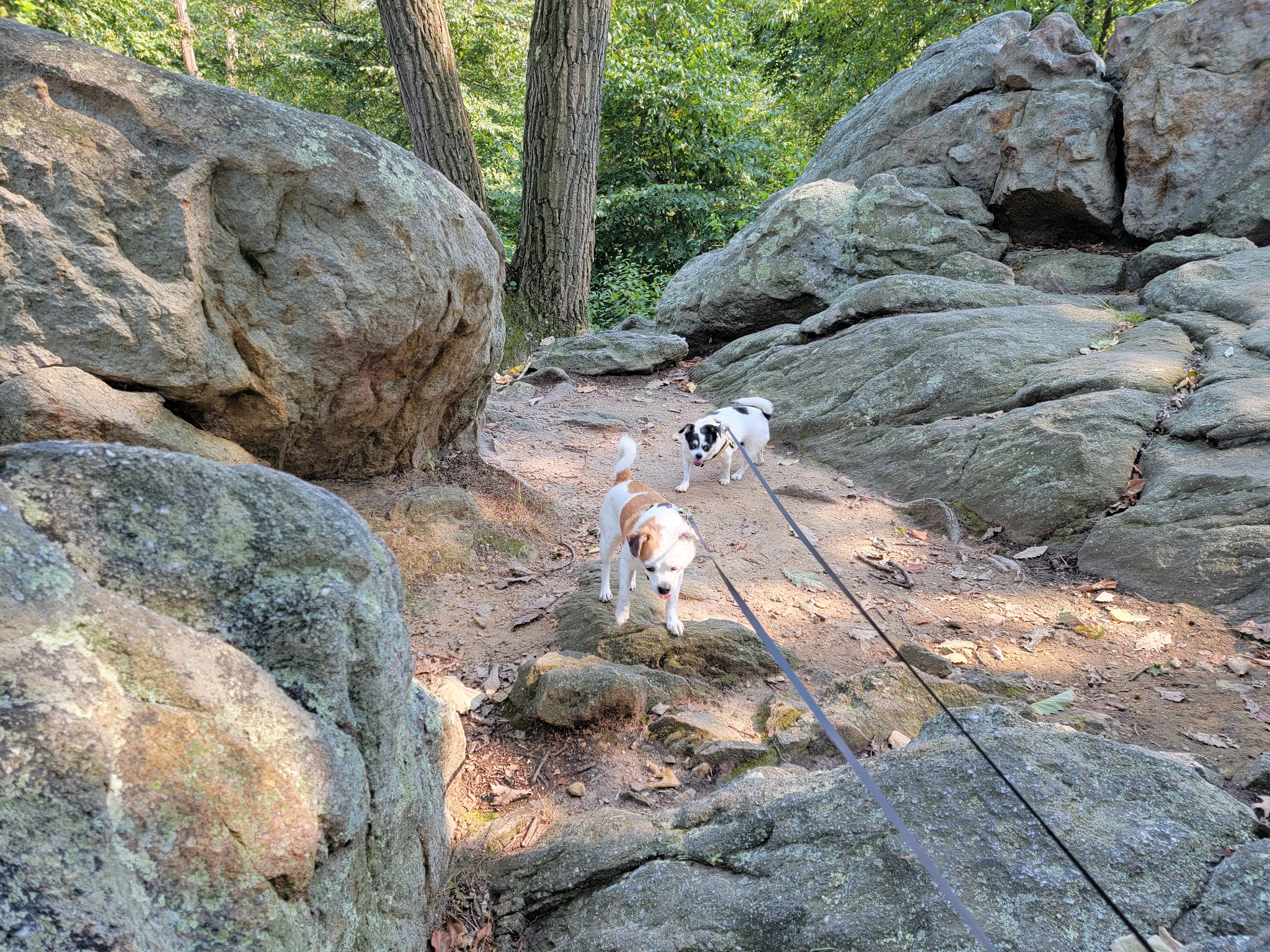 Samuel S Lewis State Park