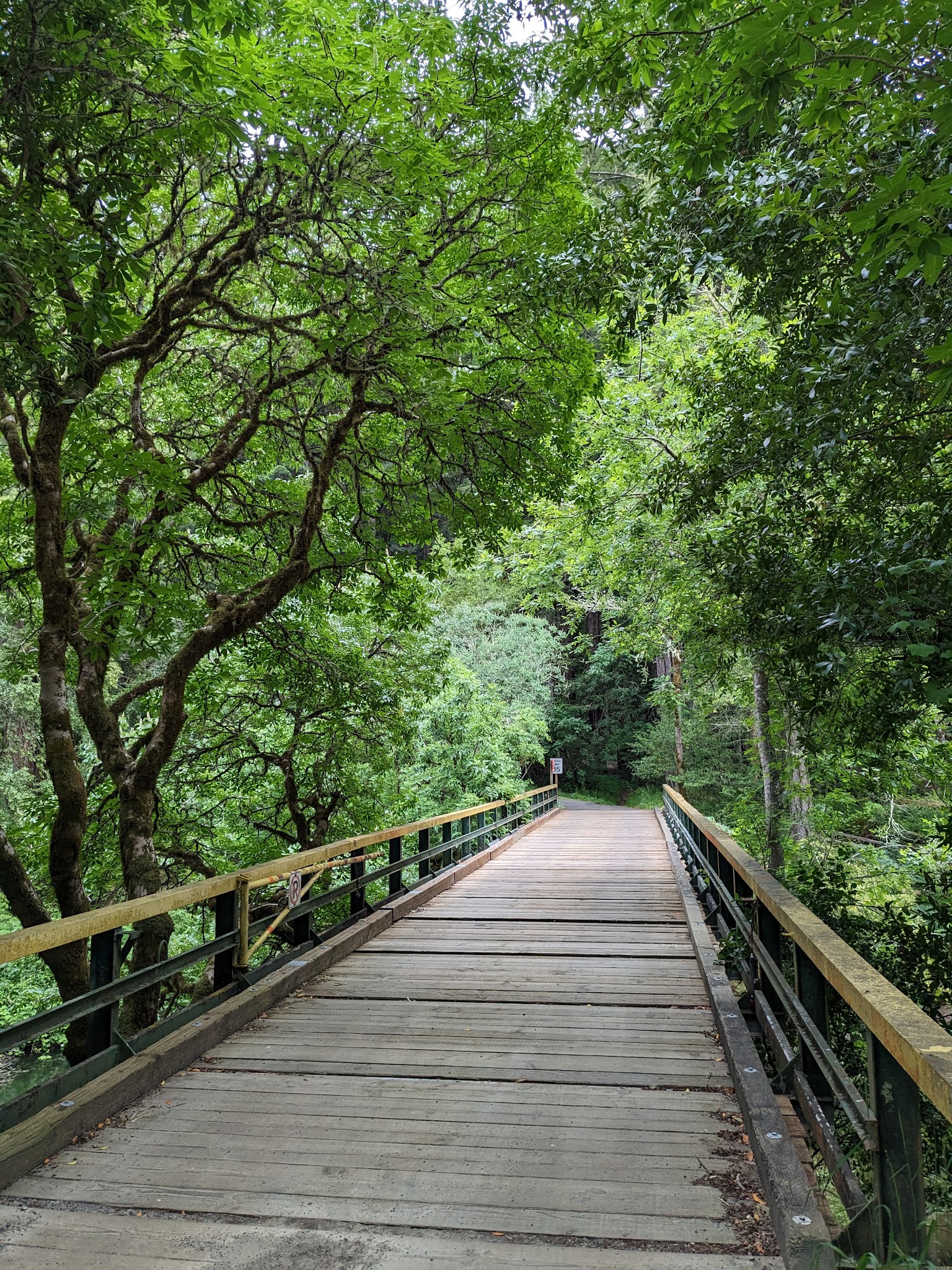 Samuel P. Taylor State Park Campground