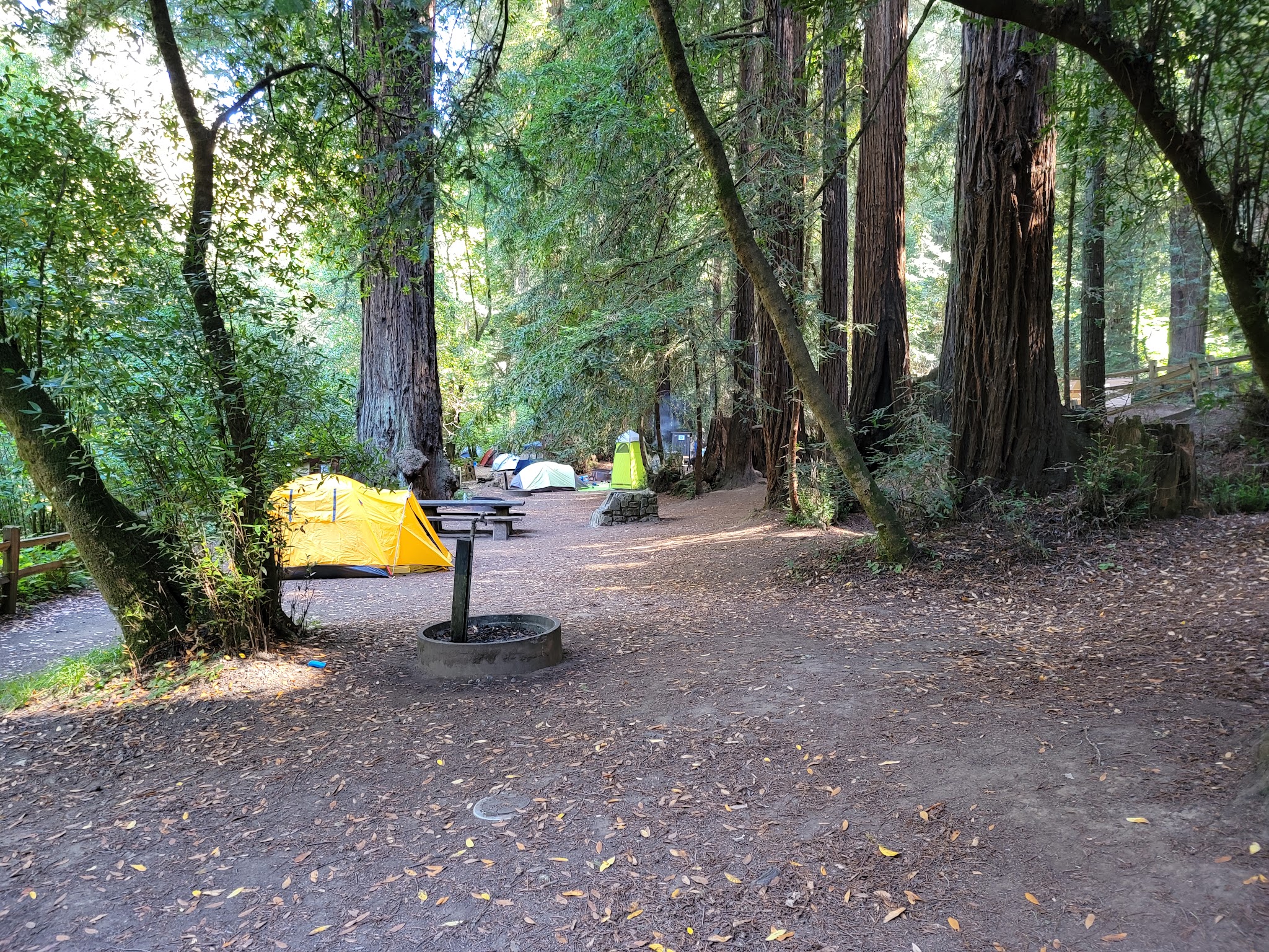 Samuel P. Taylor State Park Campground