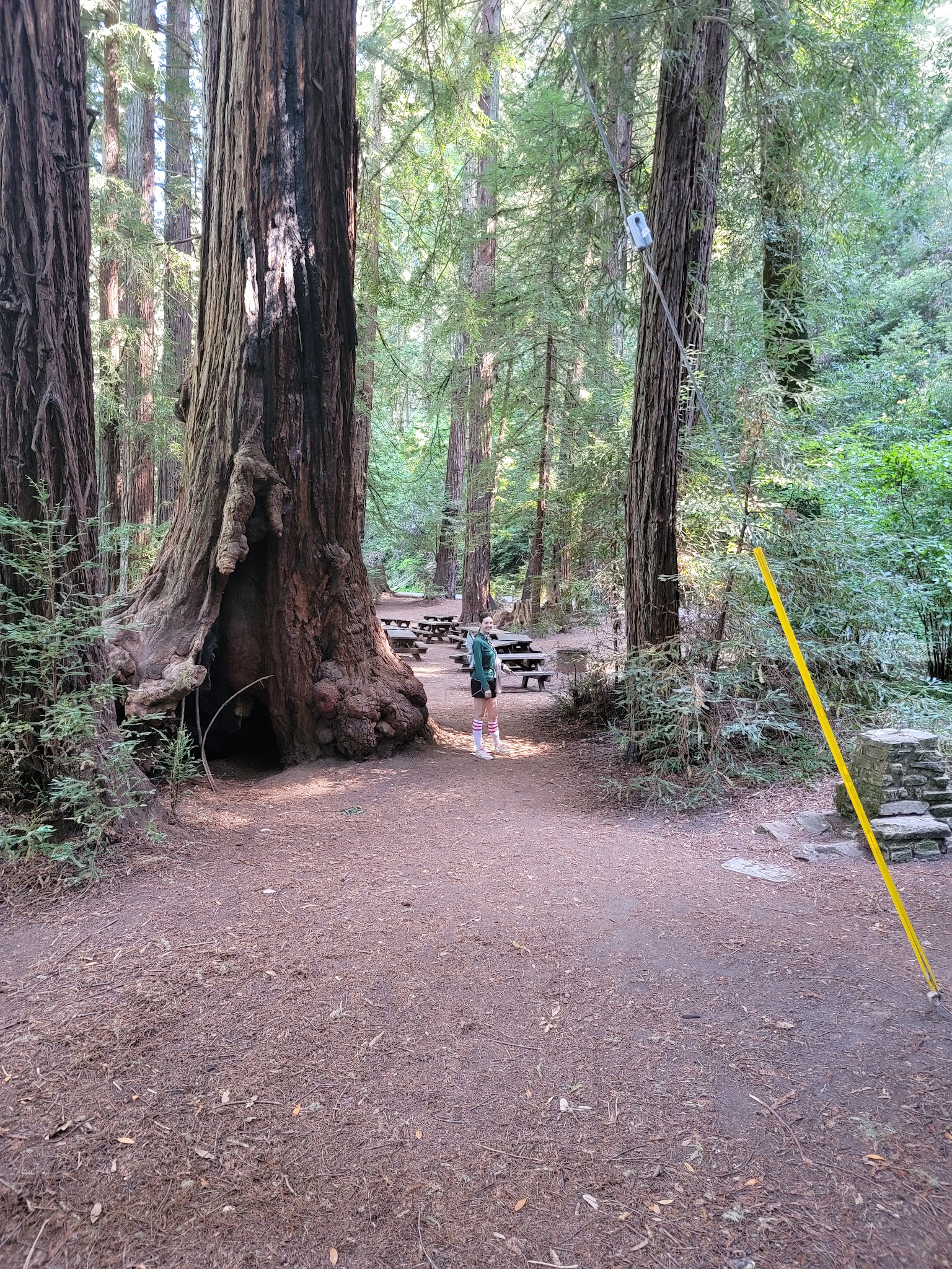Samuel P. Taylor State Park Campground