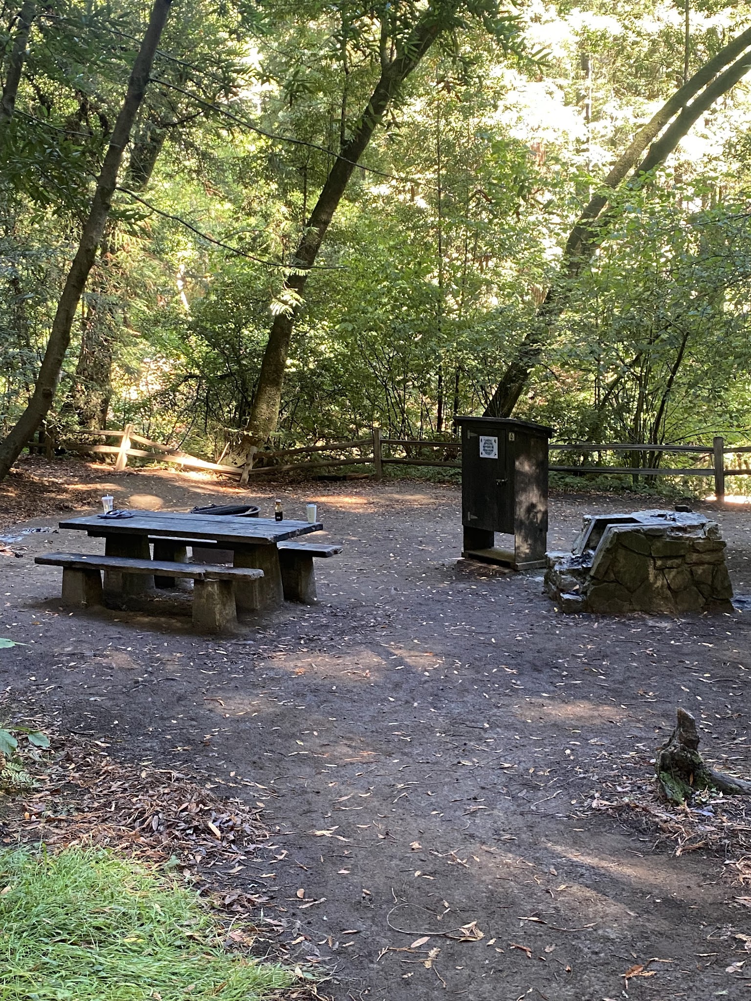 Samuel P. Taylor State Park Campground
