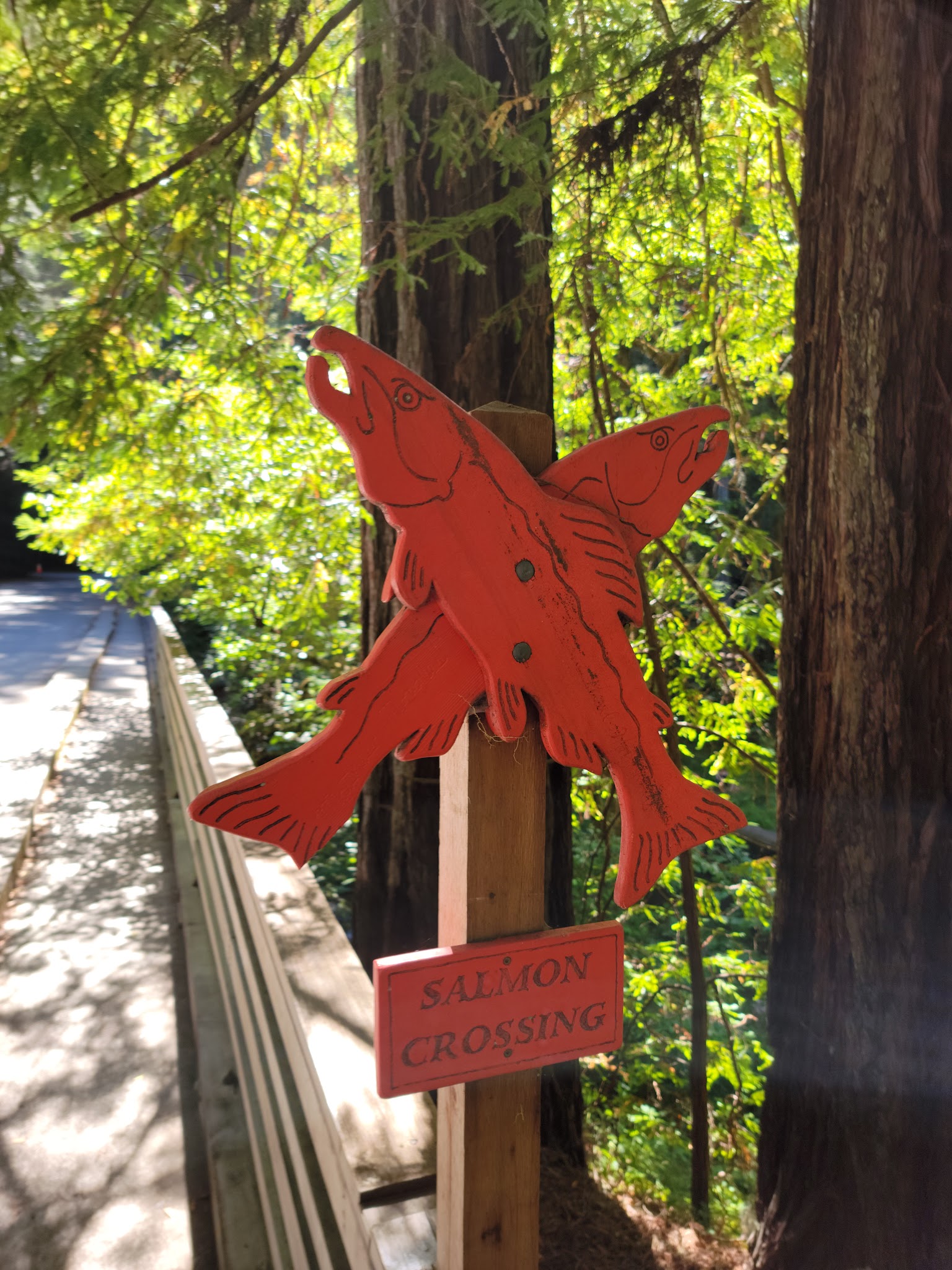 Samuel P. Taylor State Park Campground