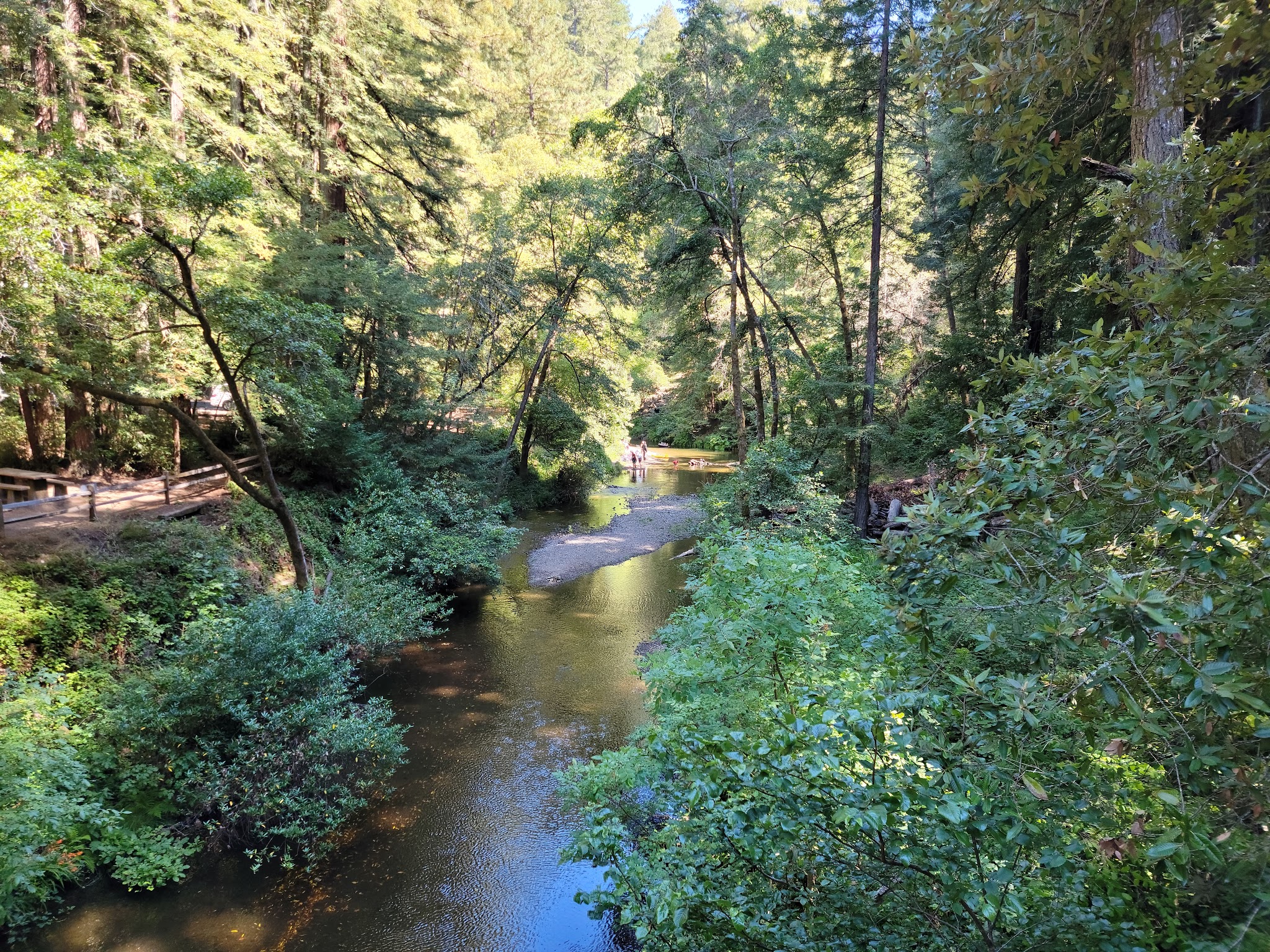 Samuel P. Taylor State Park Campground