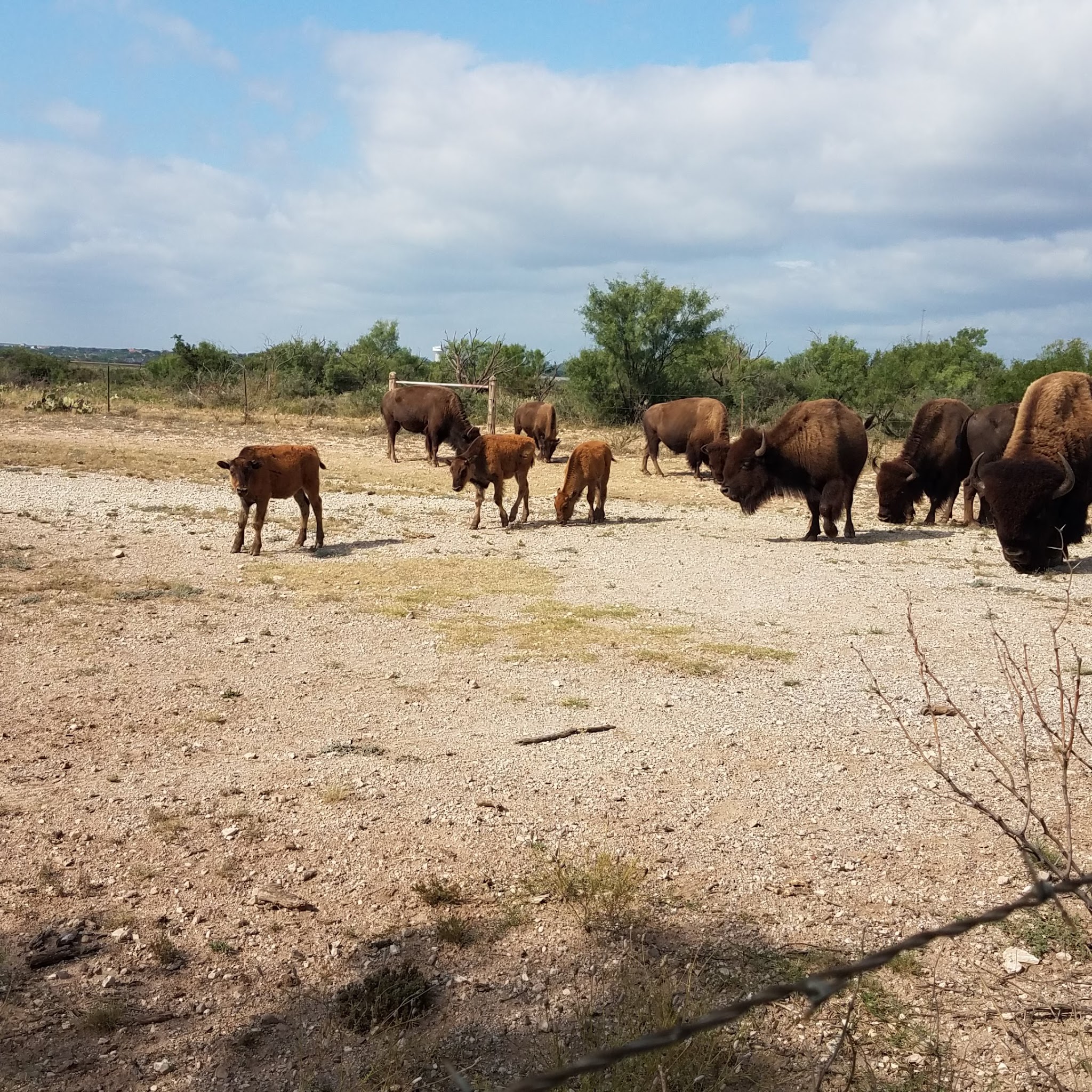 San Angelo State Park