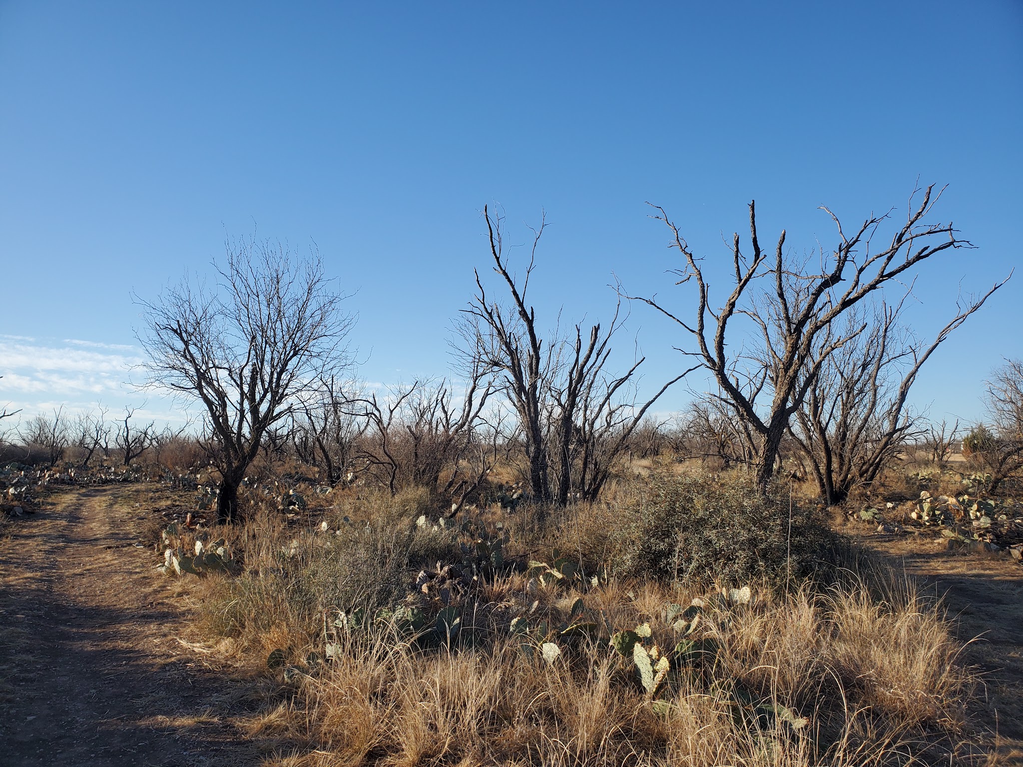 San Angelo State Park