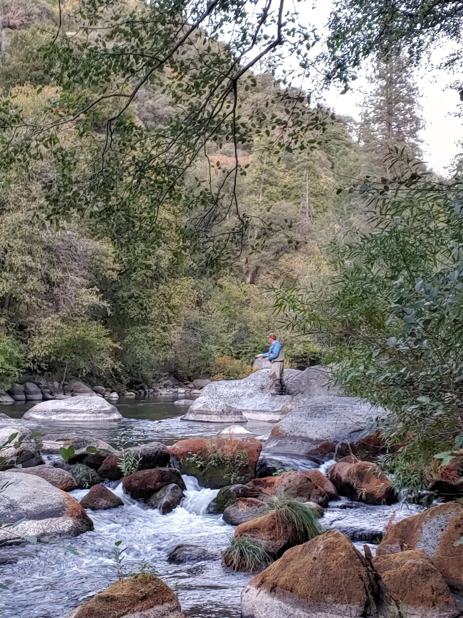 Sand Bar Flat Campground