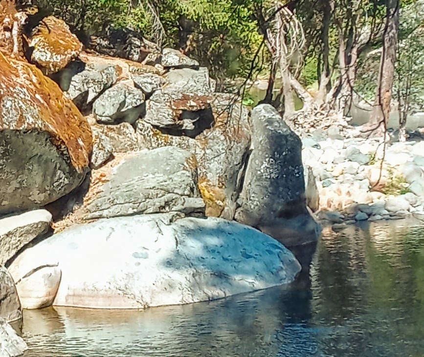 Sand Flat Campground