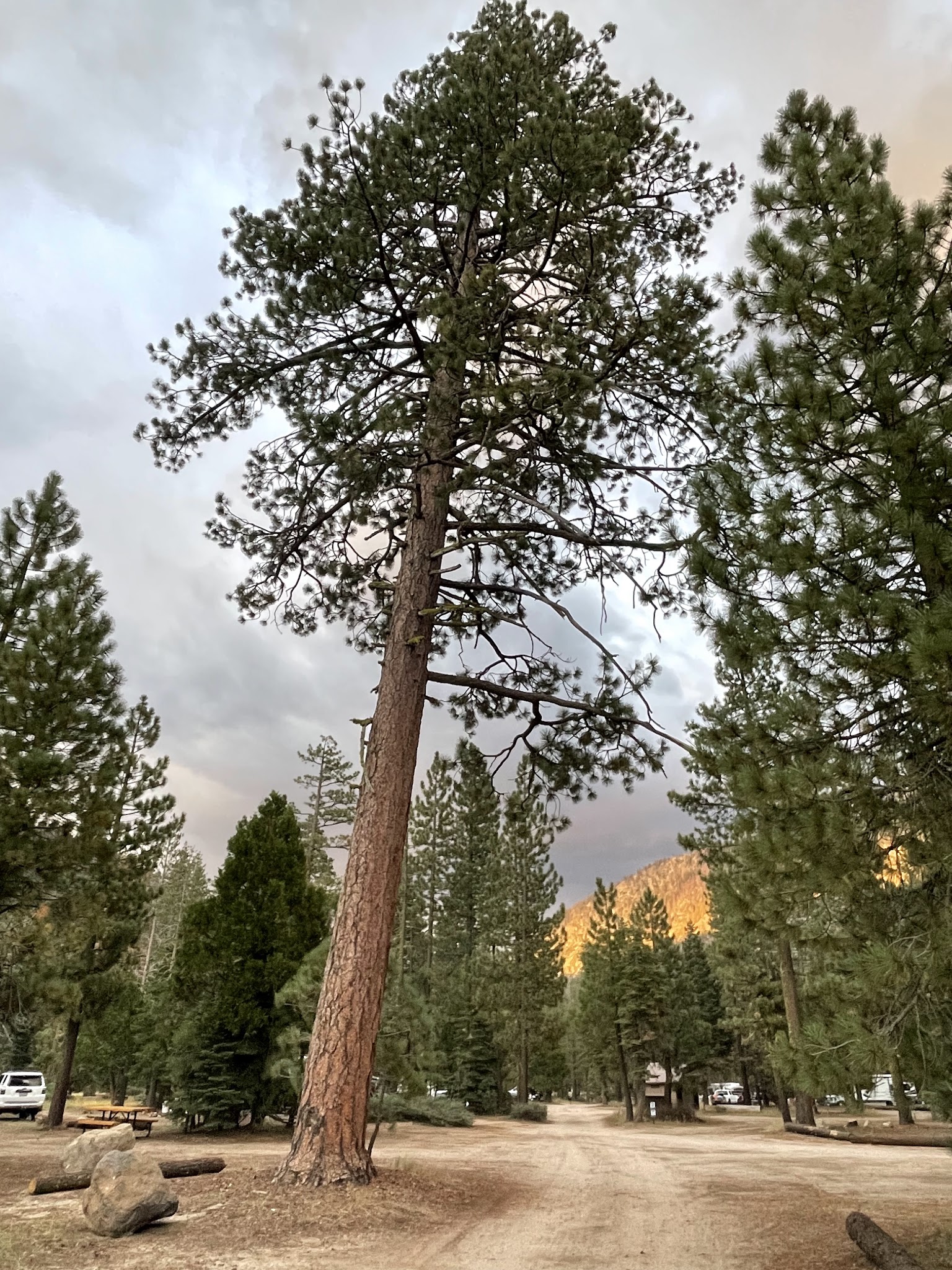 Sand Flat Campground (4wd Only)