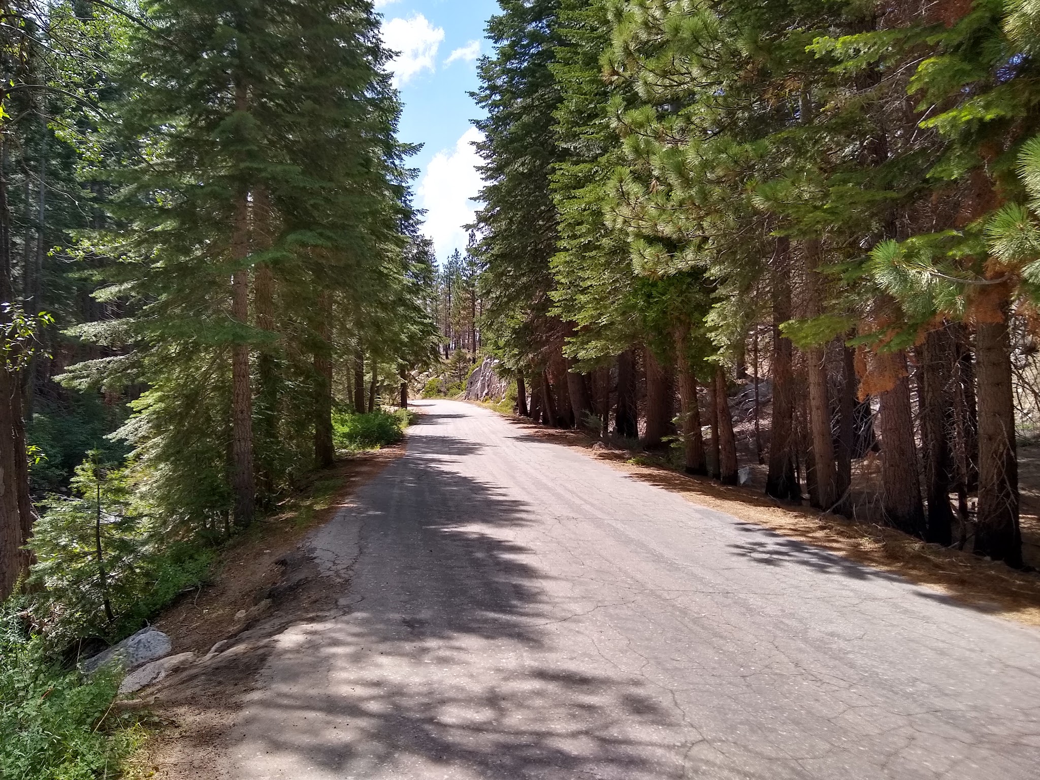 Sand Flat Campground (4wd Only)