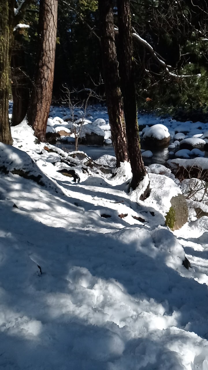 Sand Flat Campground