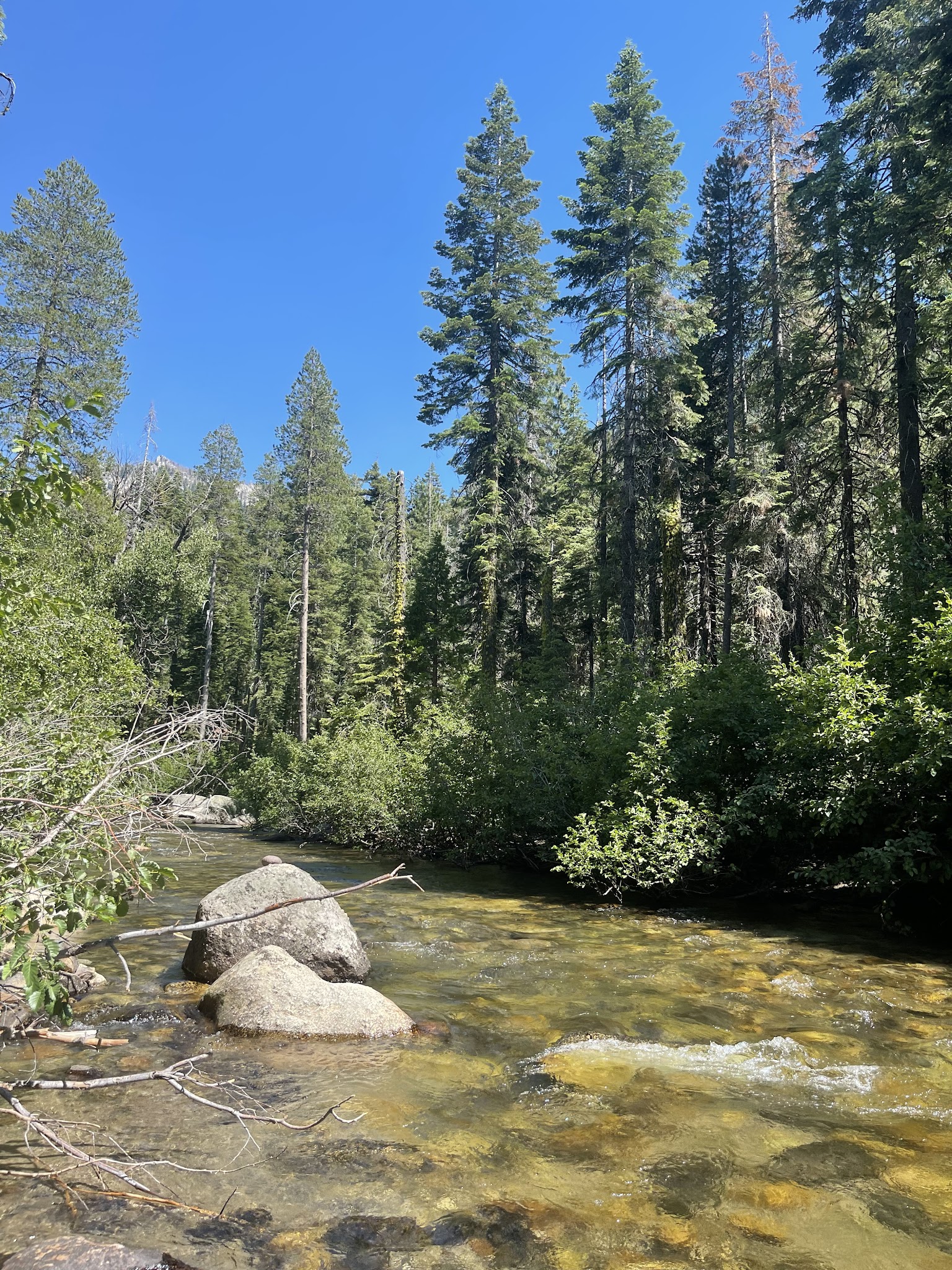 Sand Flat Campground (4wd Only)