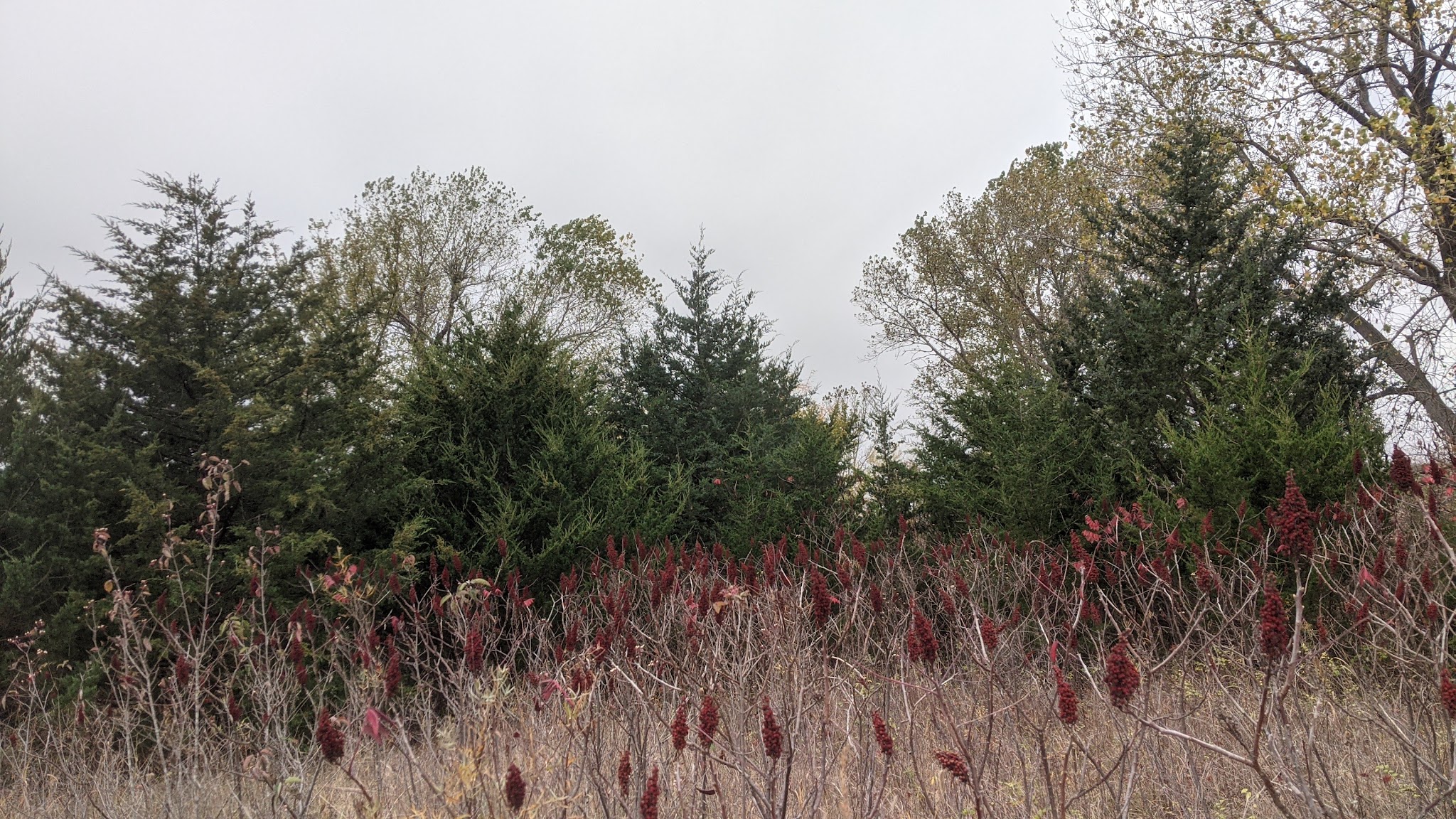 Sand Hills State Park