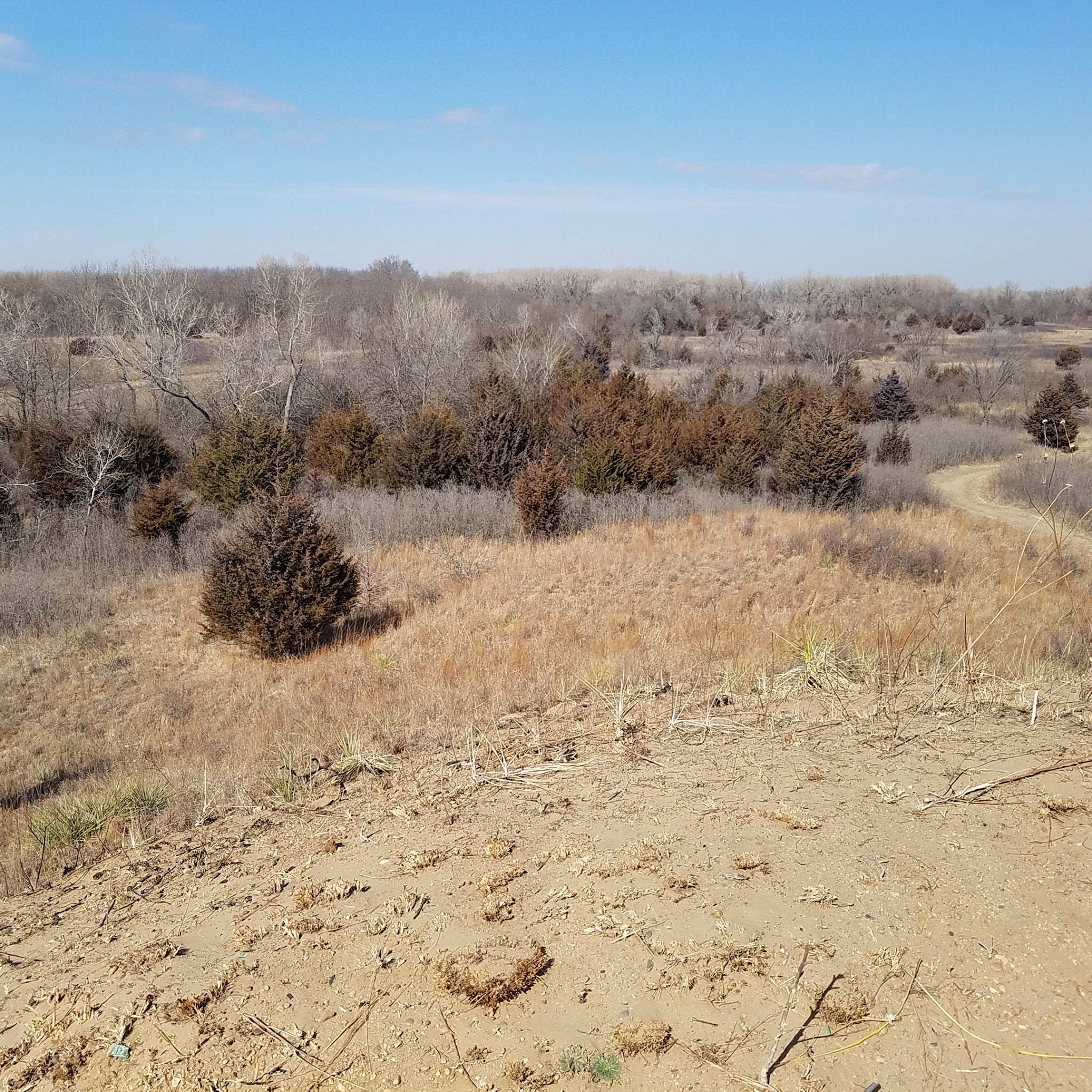 Sand Hills State Park