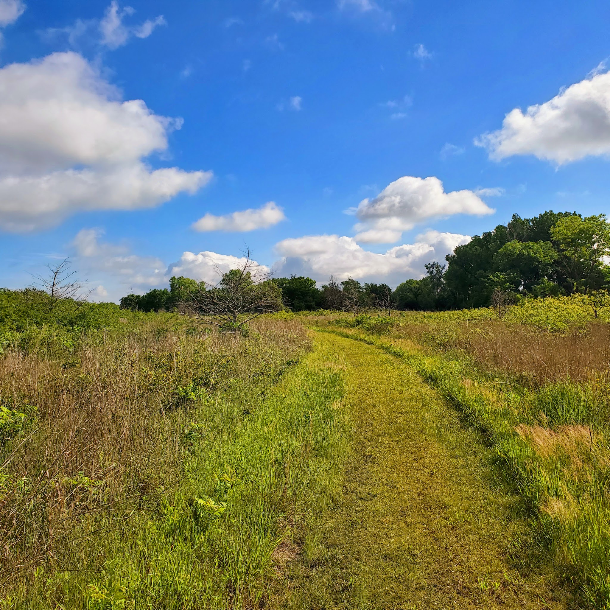 Sand Hills State Park