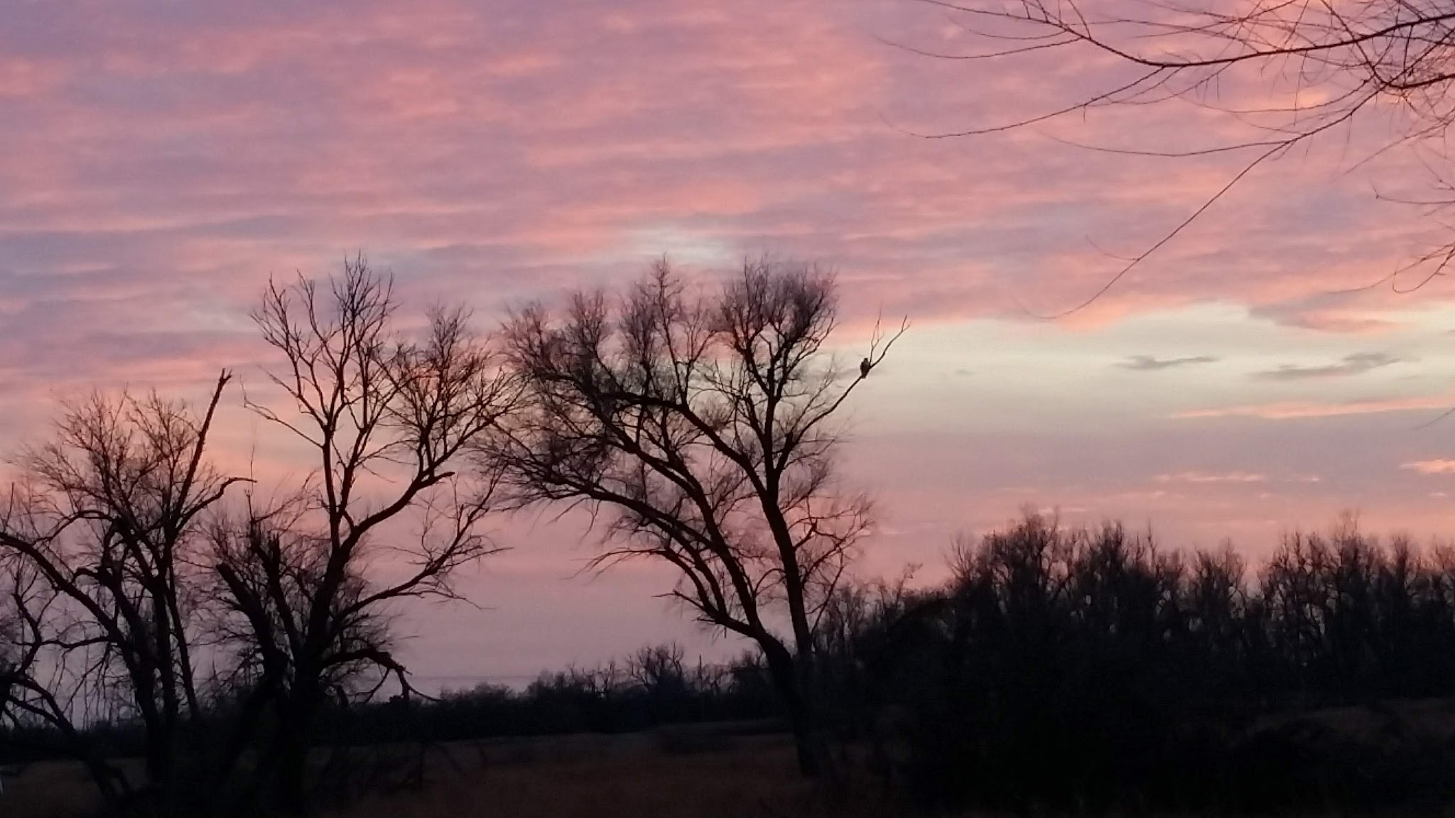 Sand Hills State Park