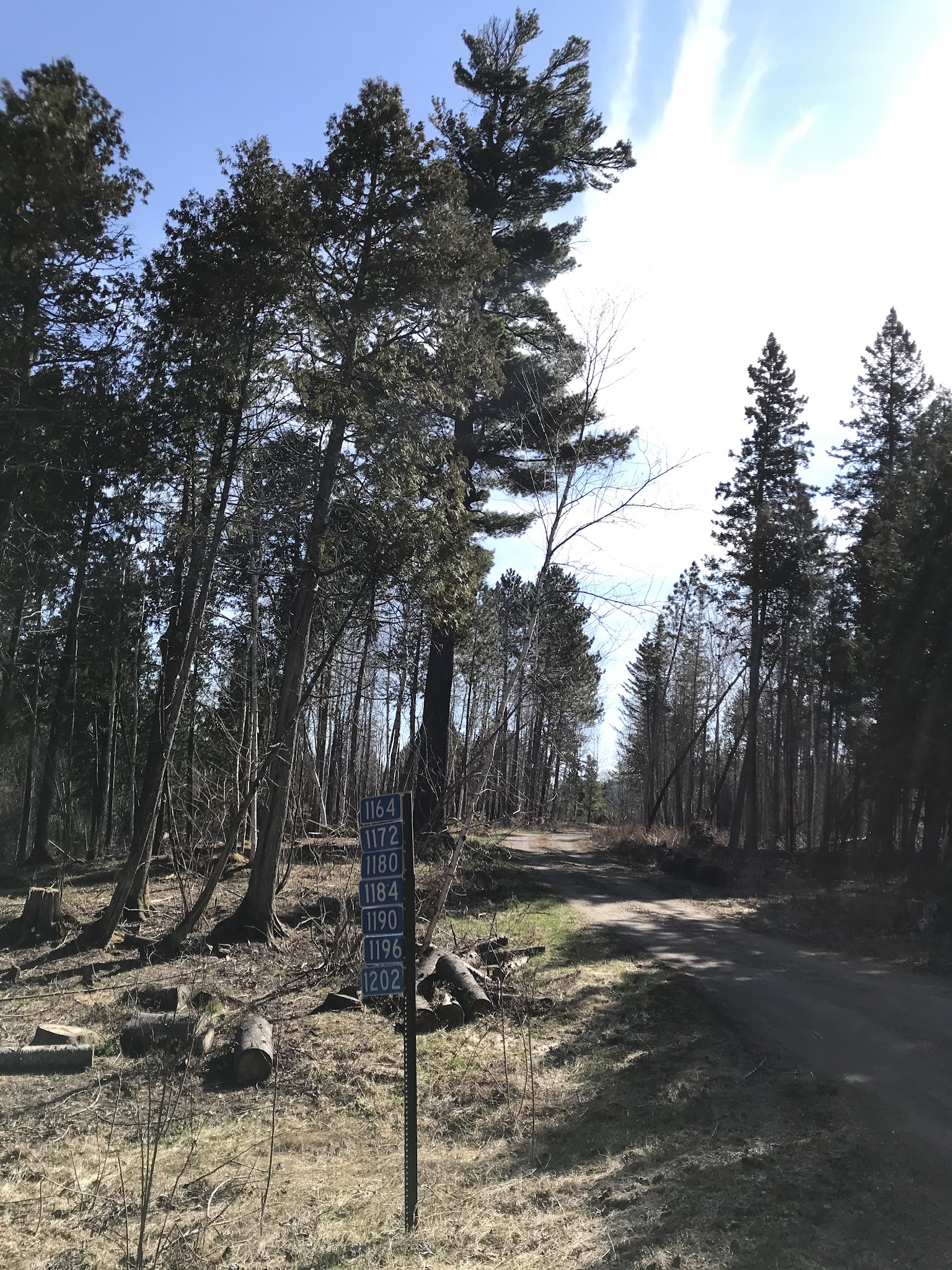 Sand Lake Rustic Campground