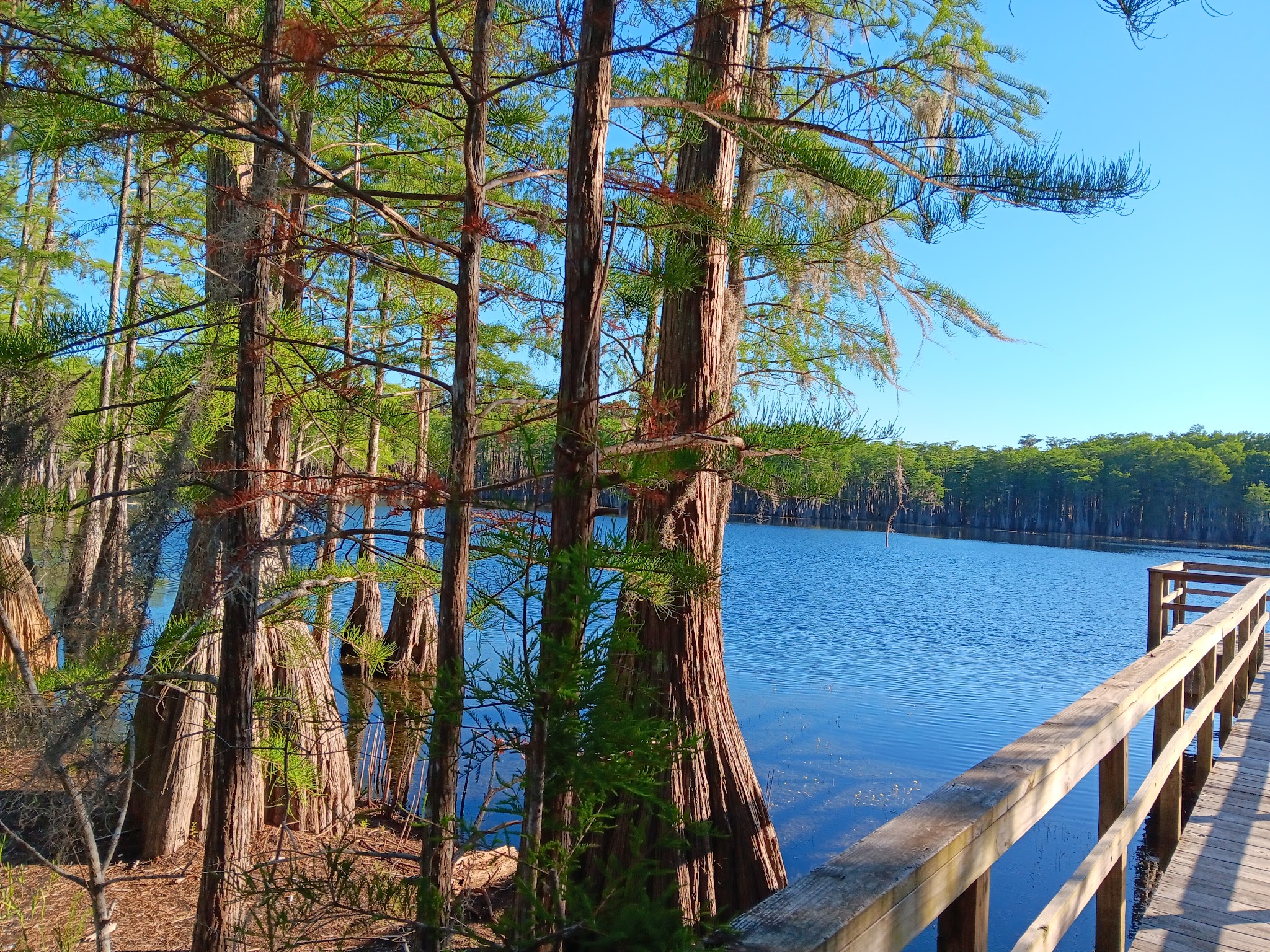 Sand Pond Group Camp Pine Log State Forest 