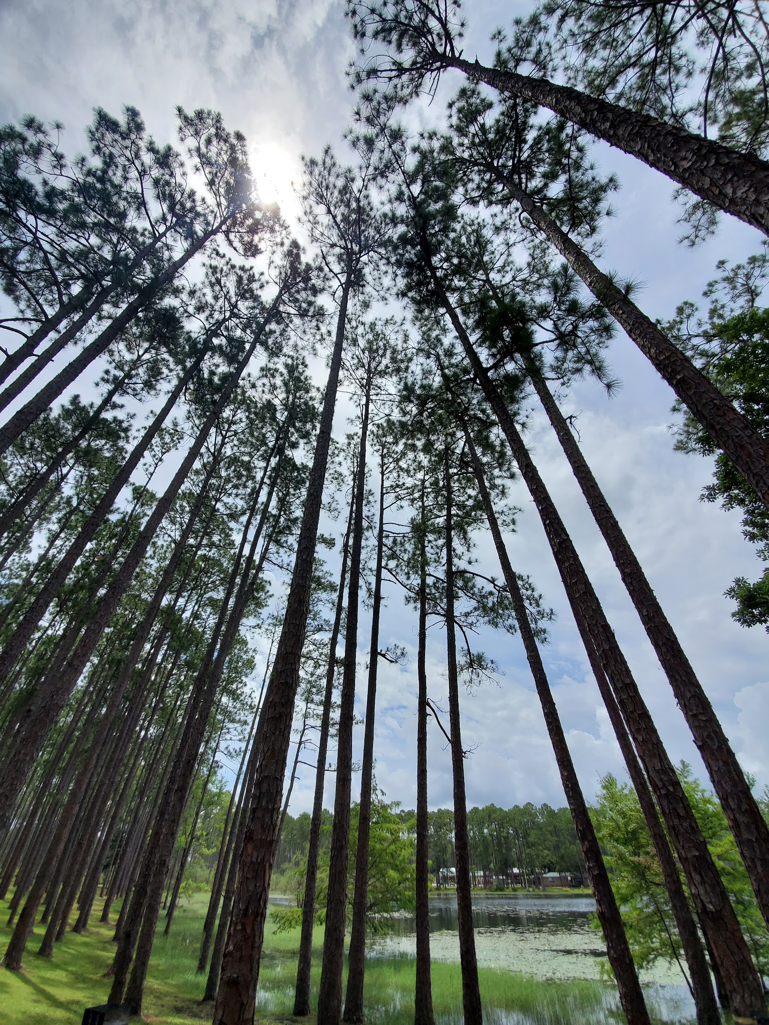 Sand Pond Group Camp Pine Log State Forest 