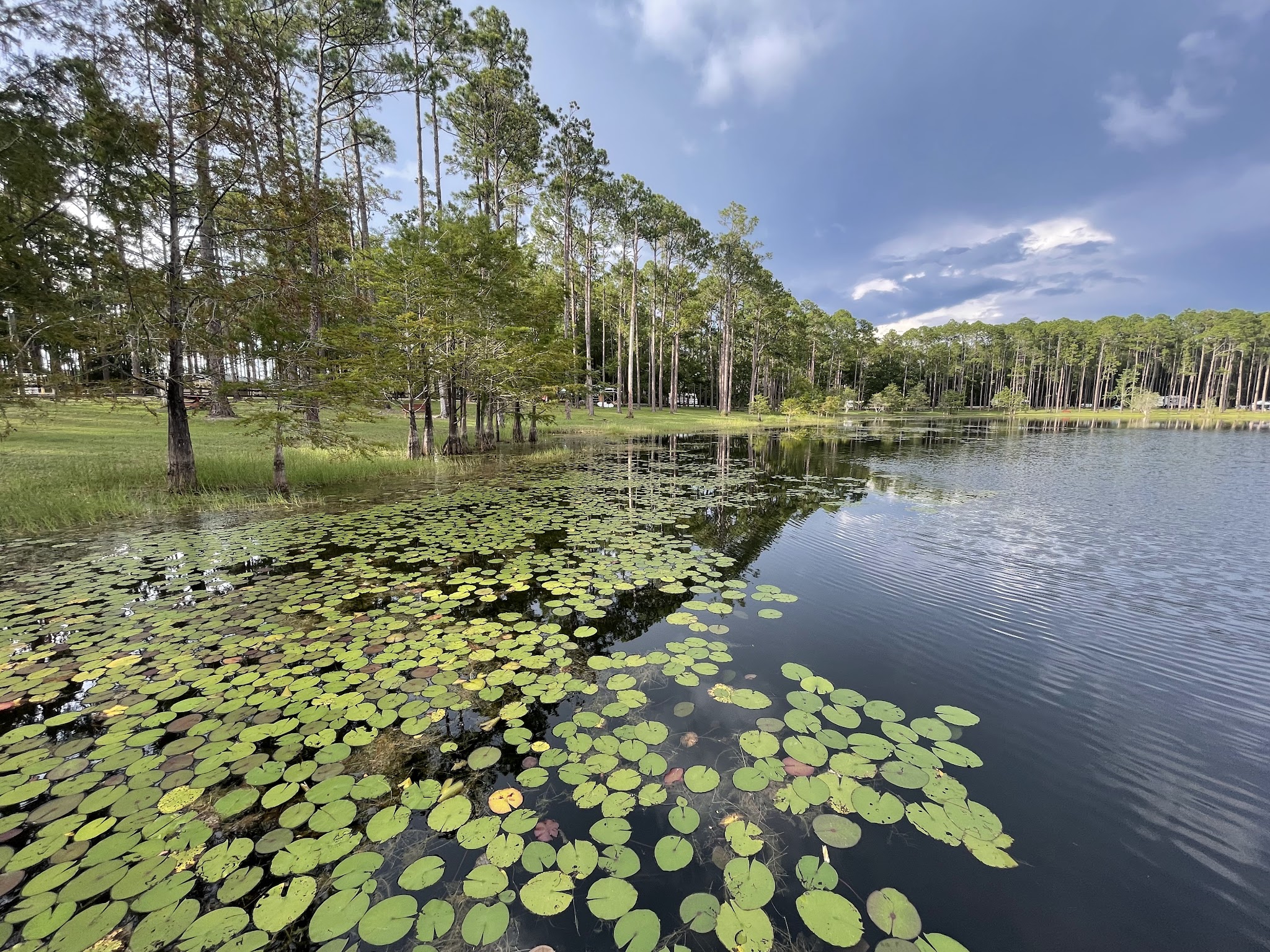 Sand Pond Group Camp Pine Log State Forest 