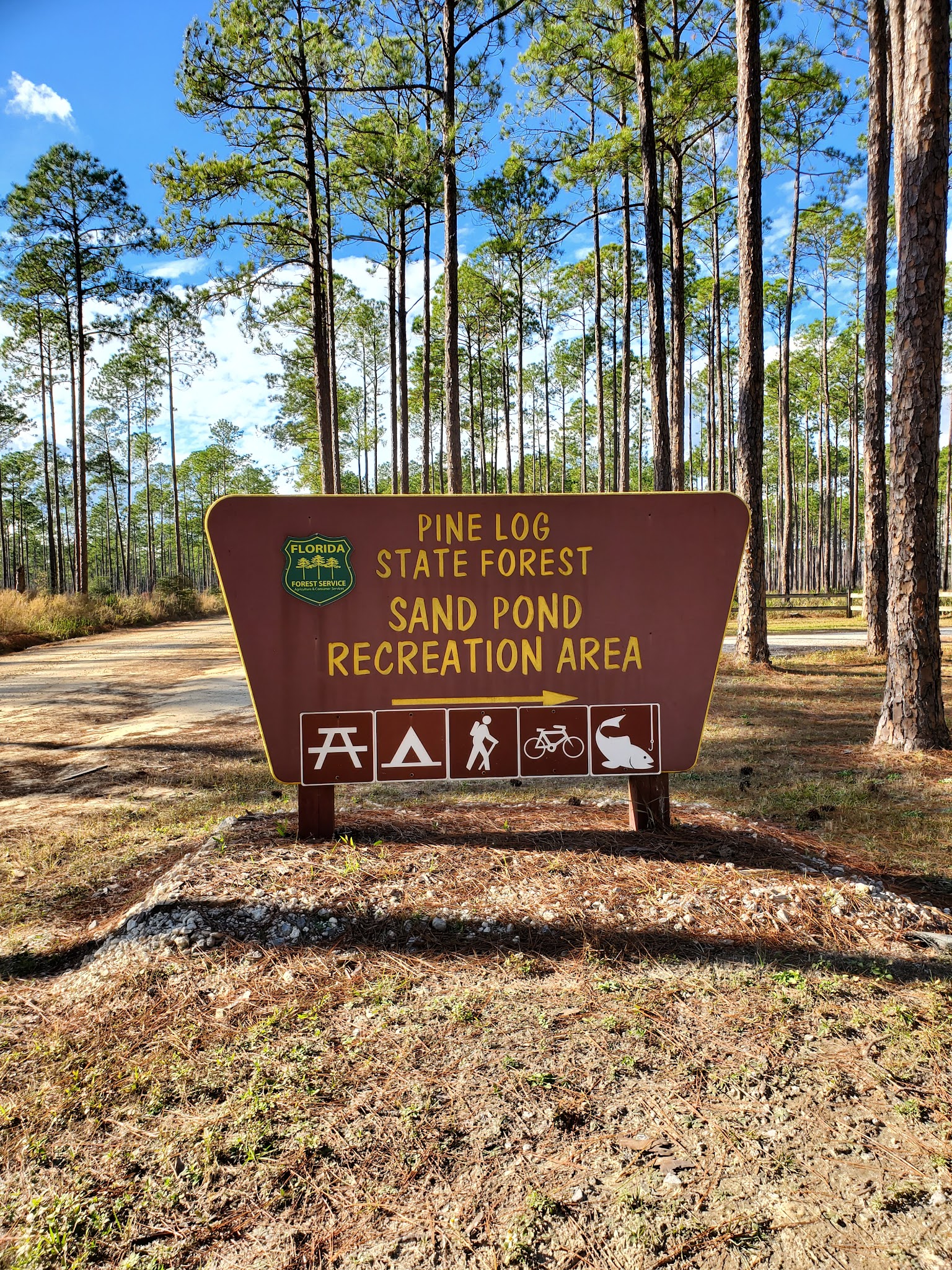 Sand Pond Group Camp Pine Log State Forest 