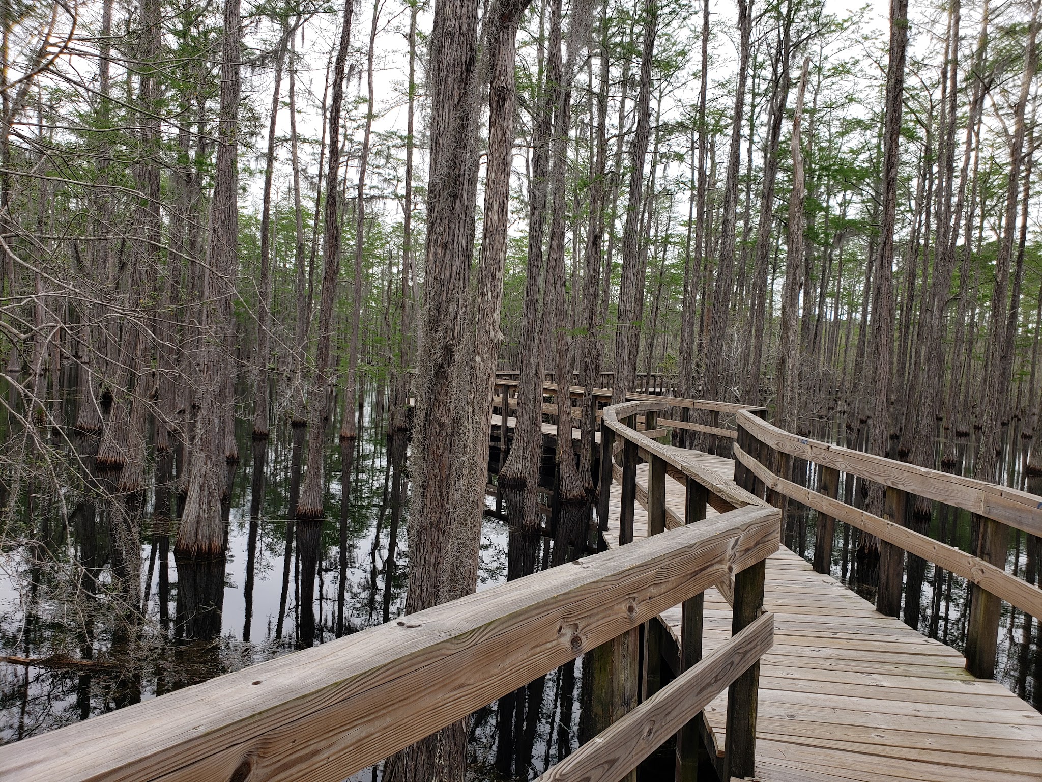 Swimming Campgrounds in Florida