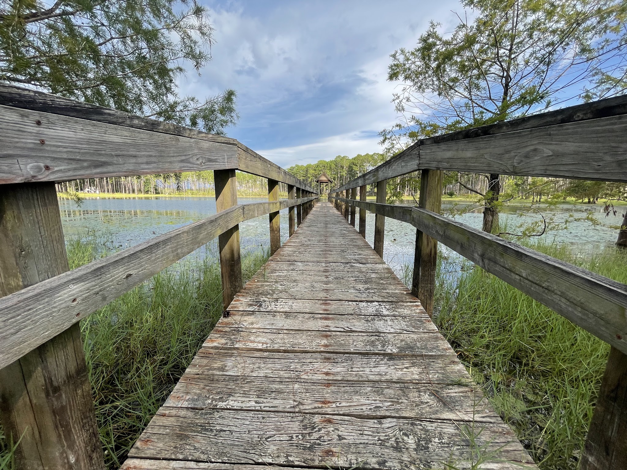 Sand Pond Group Camp Pine Log State Forest 