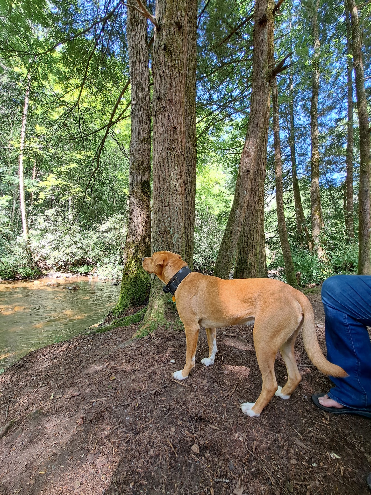 Sandy Bottoms Campground