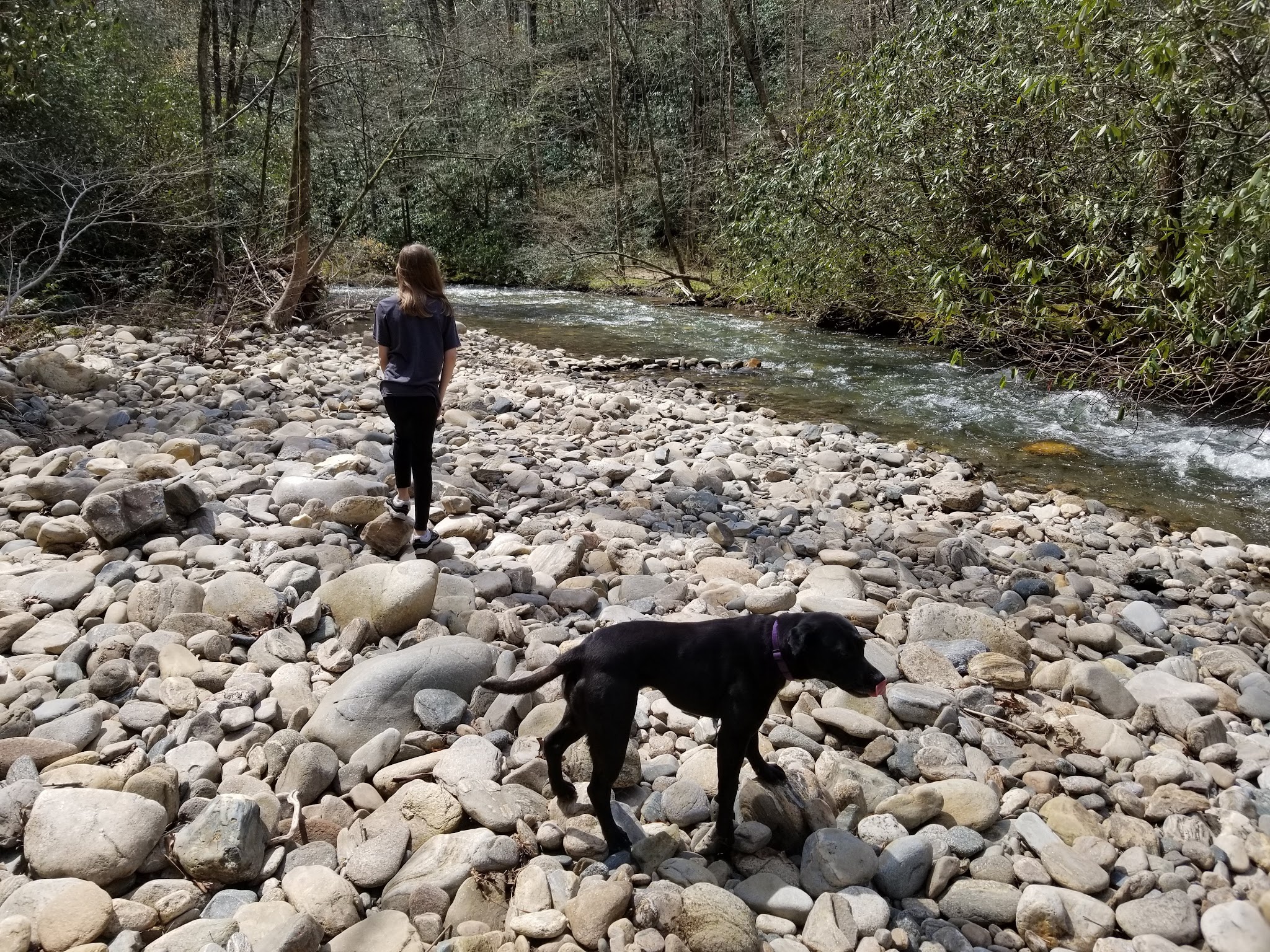 Sandy Bottoms Campground