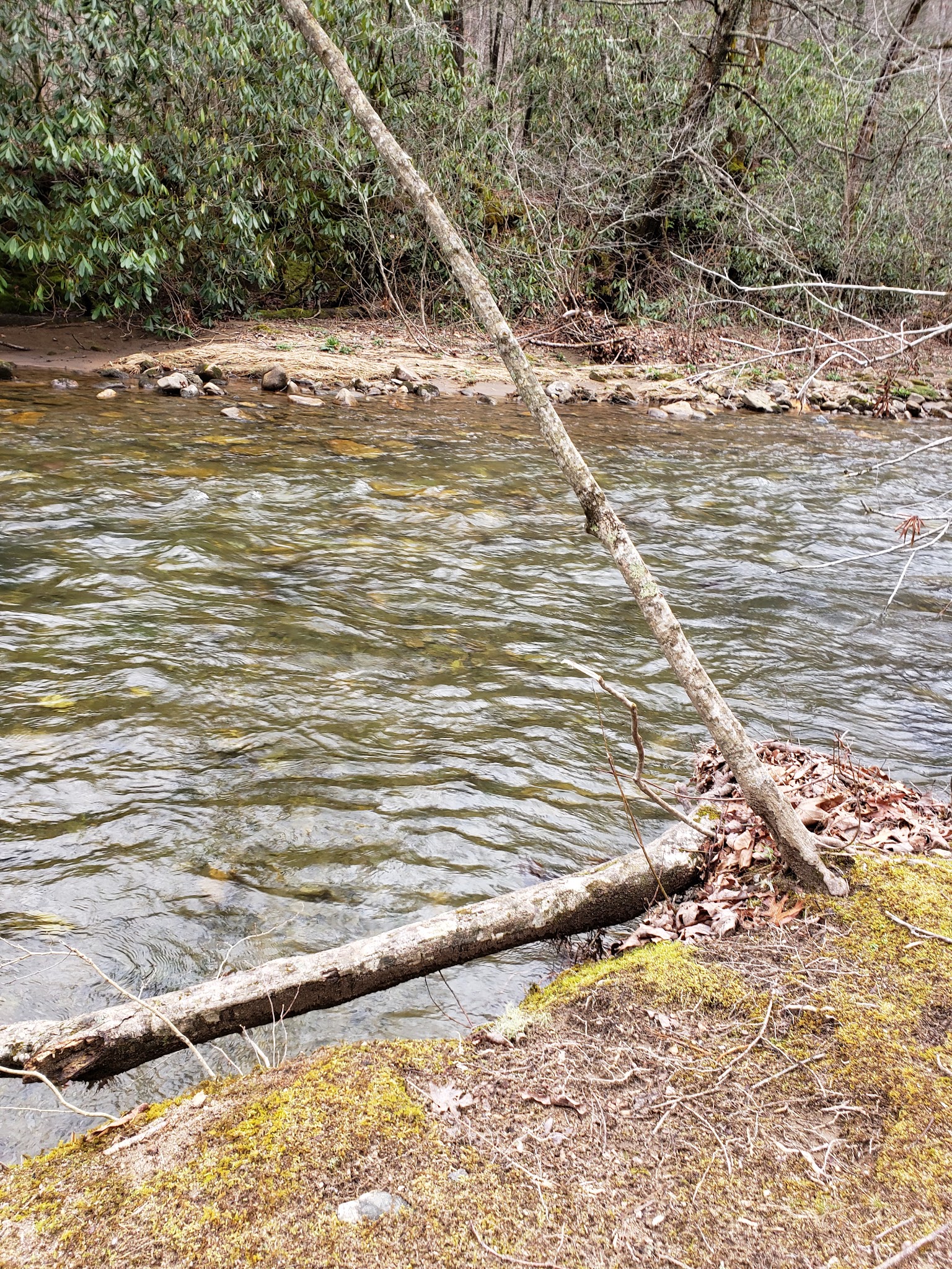 Sandy Bottoms Campground