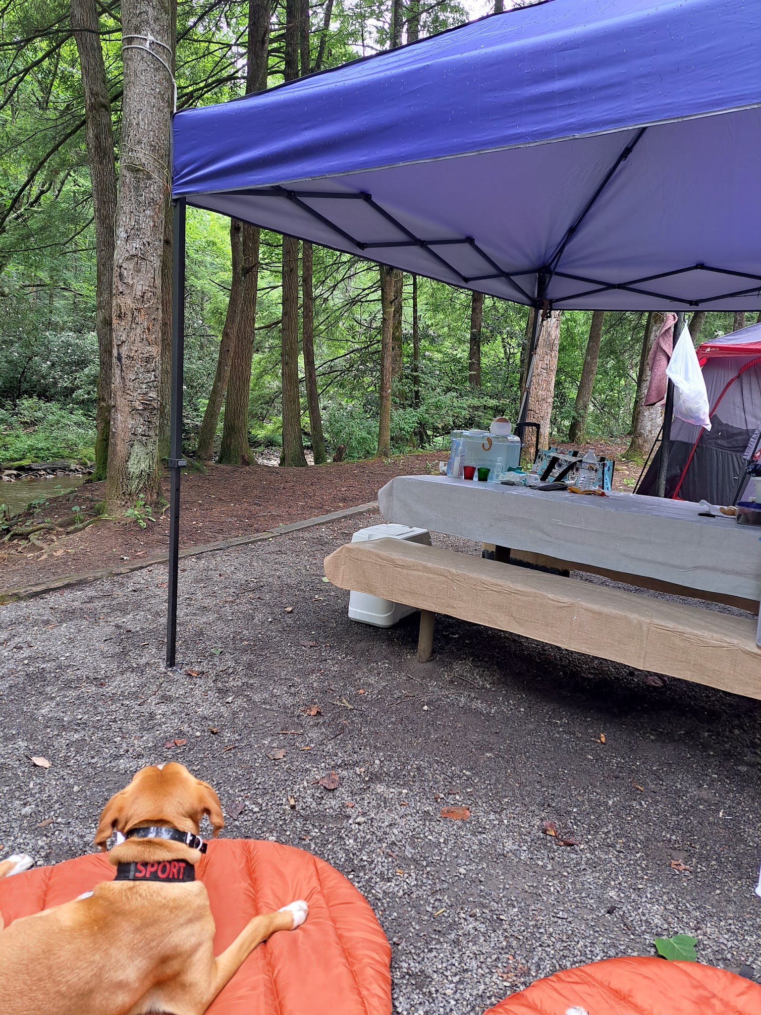 Sandy Bottoms Campground