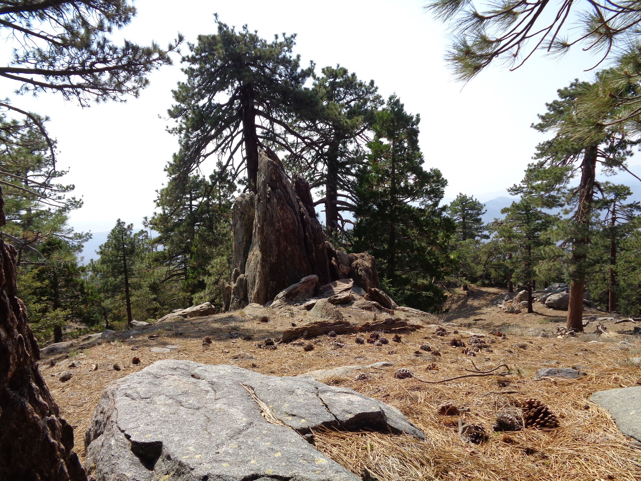 Santa Rosa Yellow Post Sites