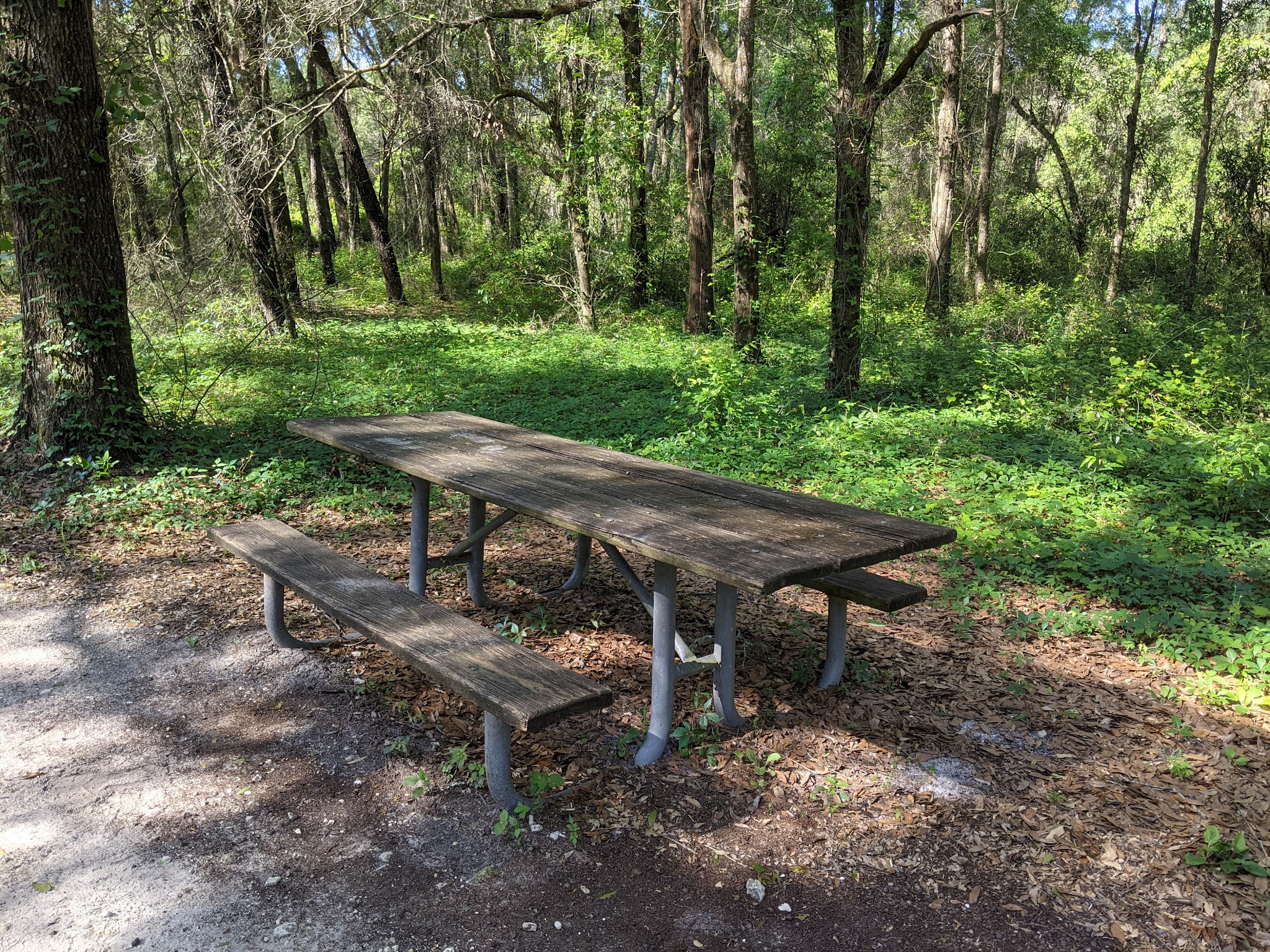 Santos Trailhead And Campground