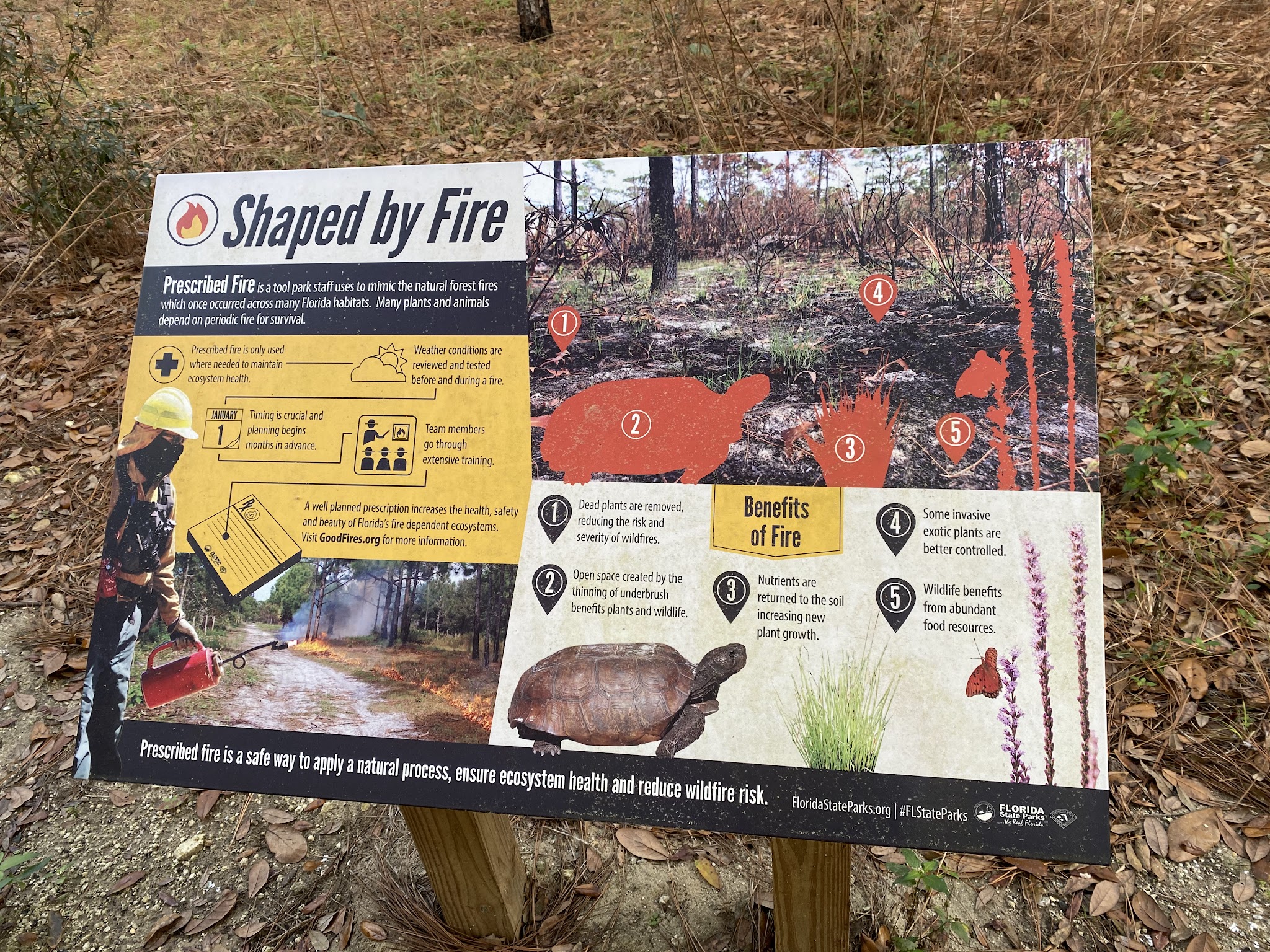 Santos Trailhead And Campground