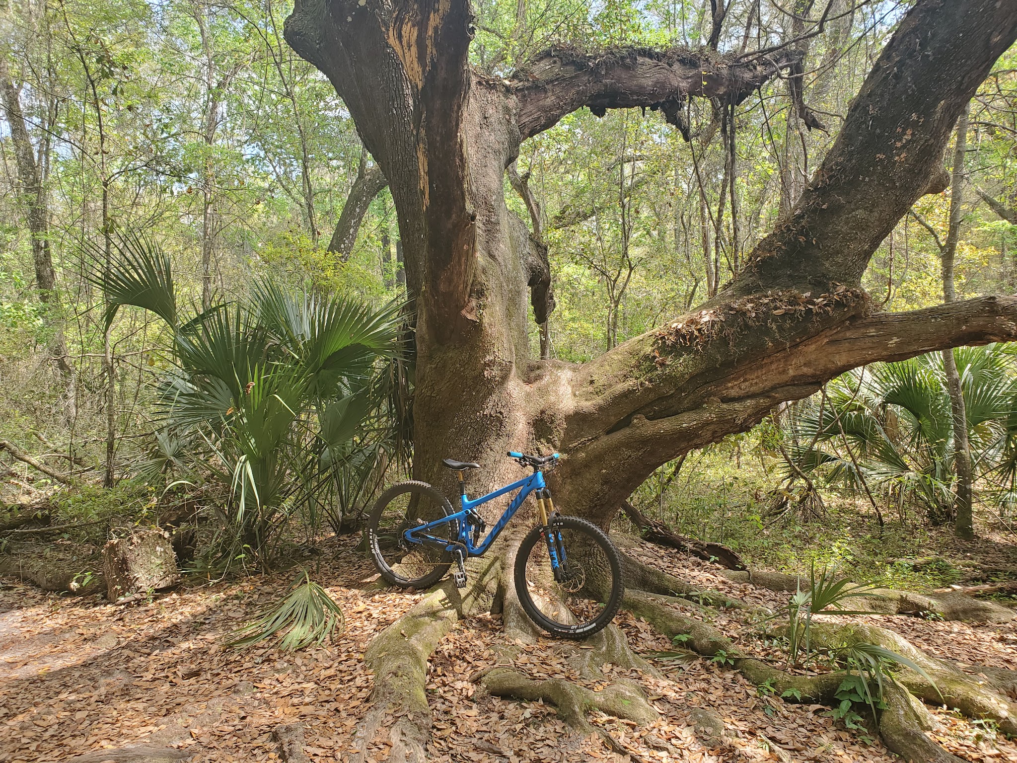 Santos Trailhead And Campground