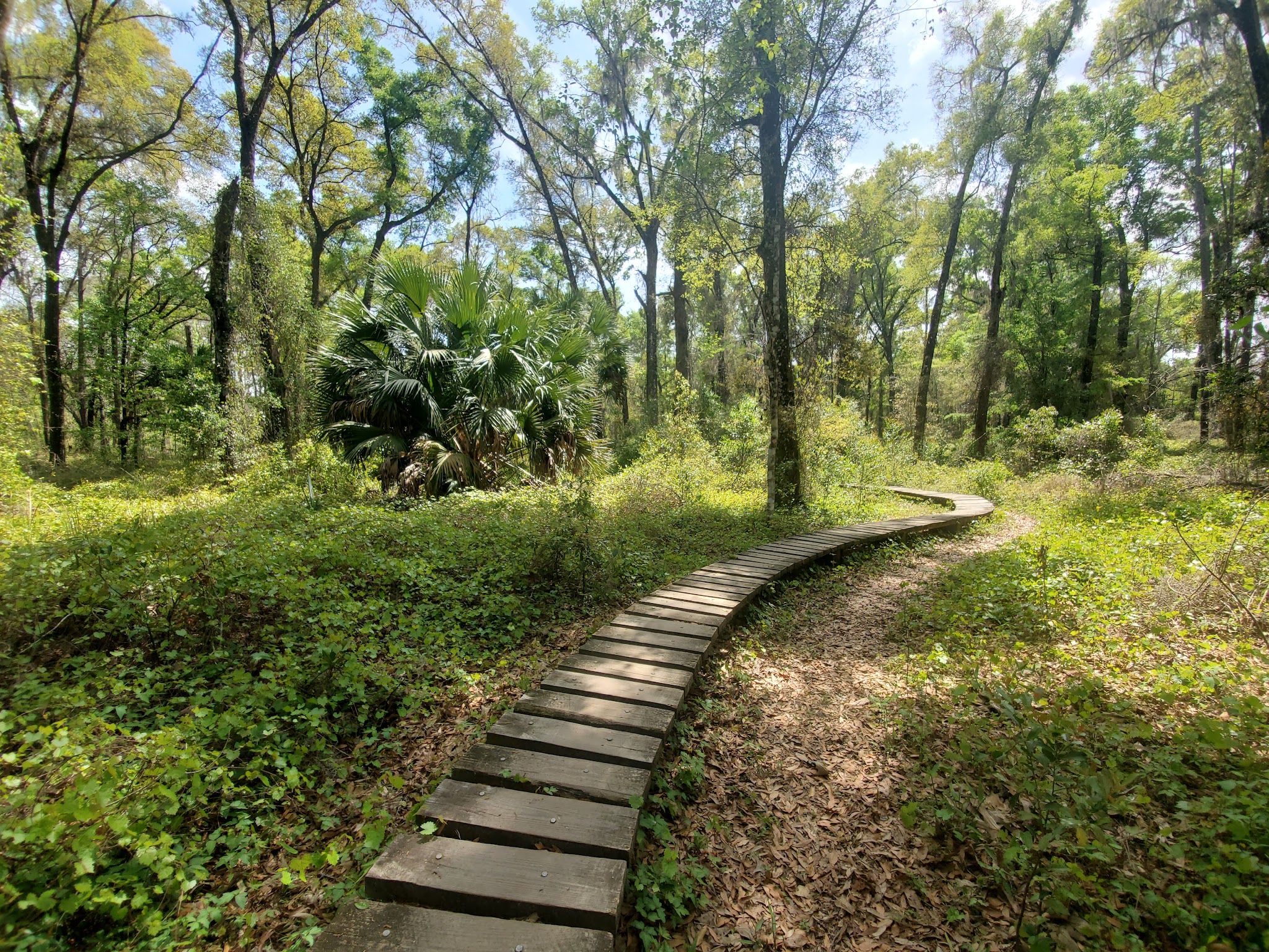 Santos Trailhead And Campground