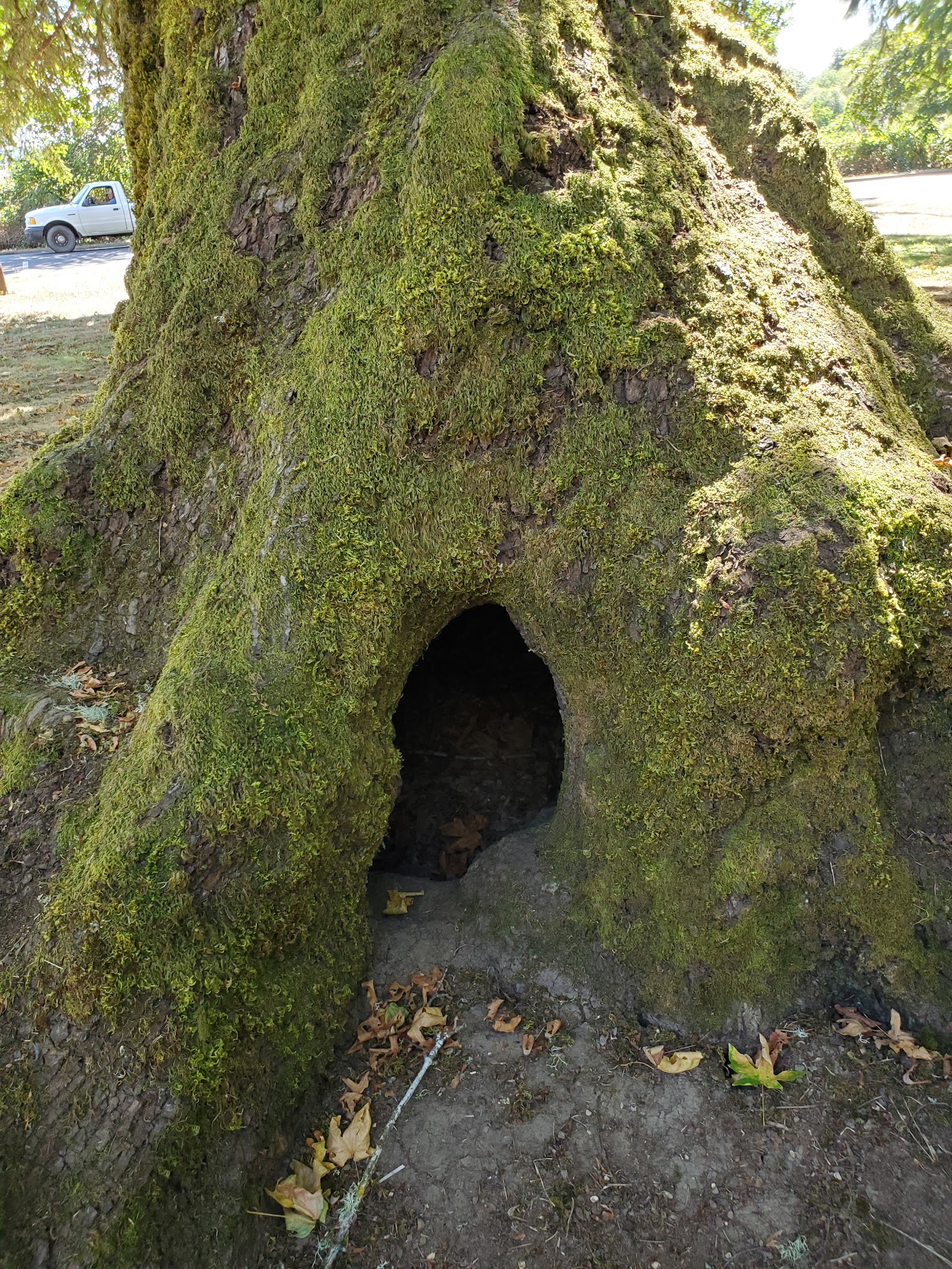 Sarah Helmick State Recreation Site