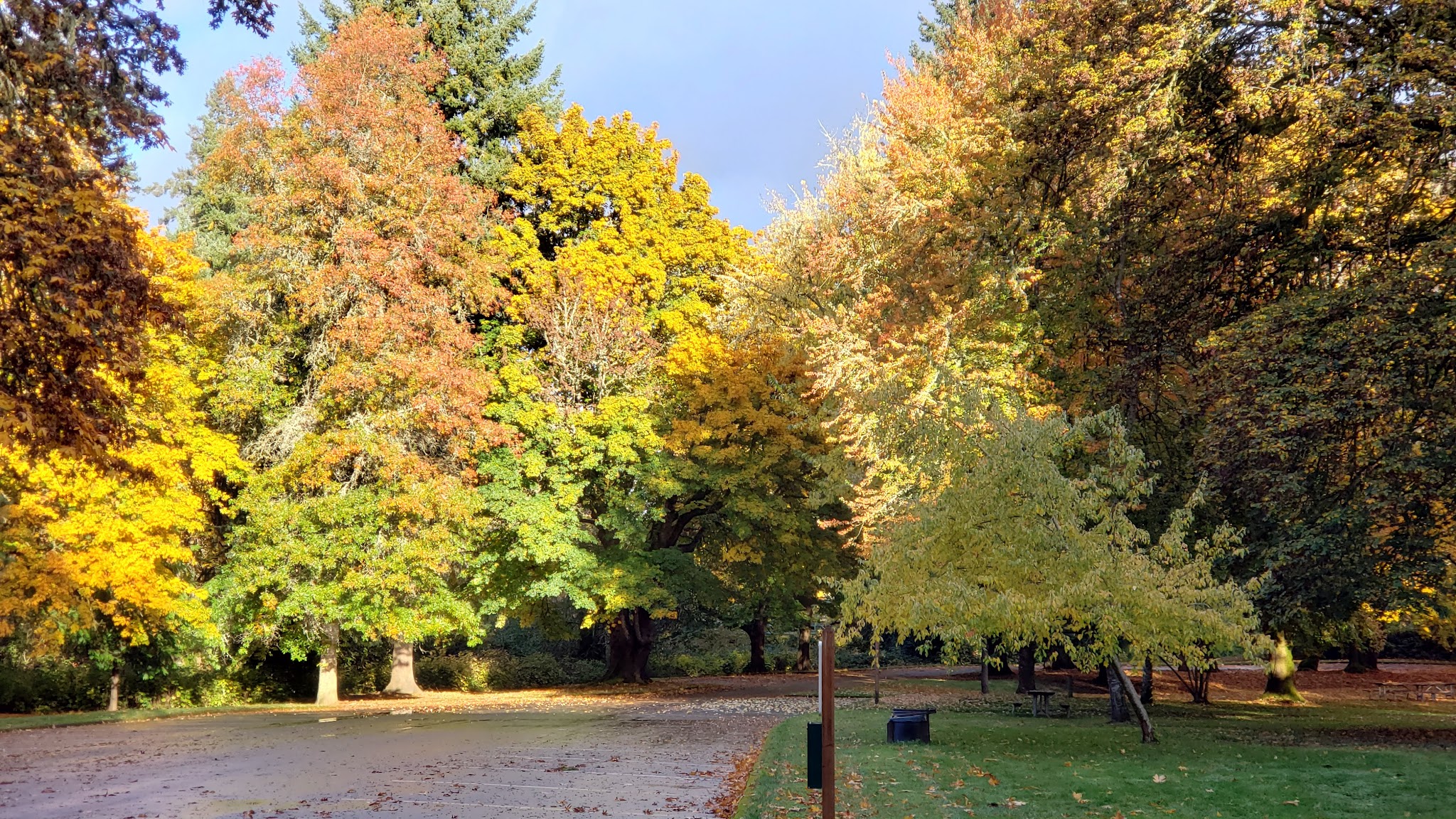 Sarah Helmick State Recreation Site
