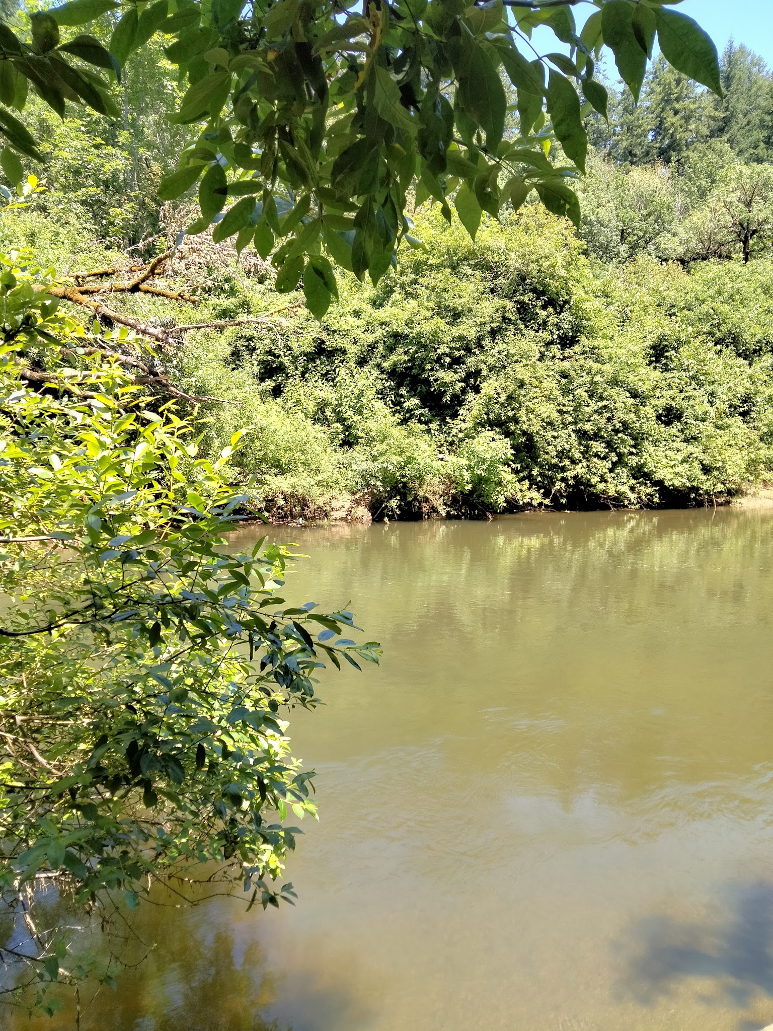 Sarah Helmick State Recreation Site