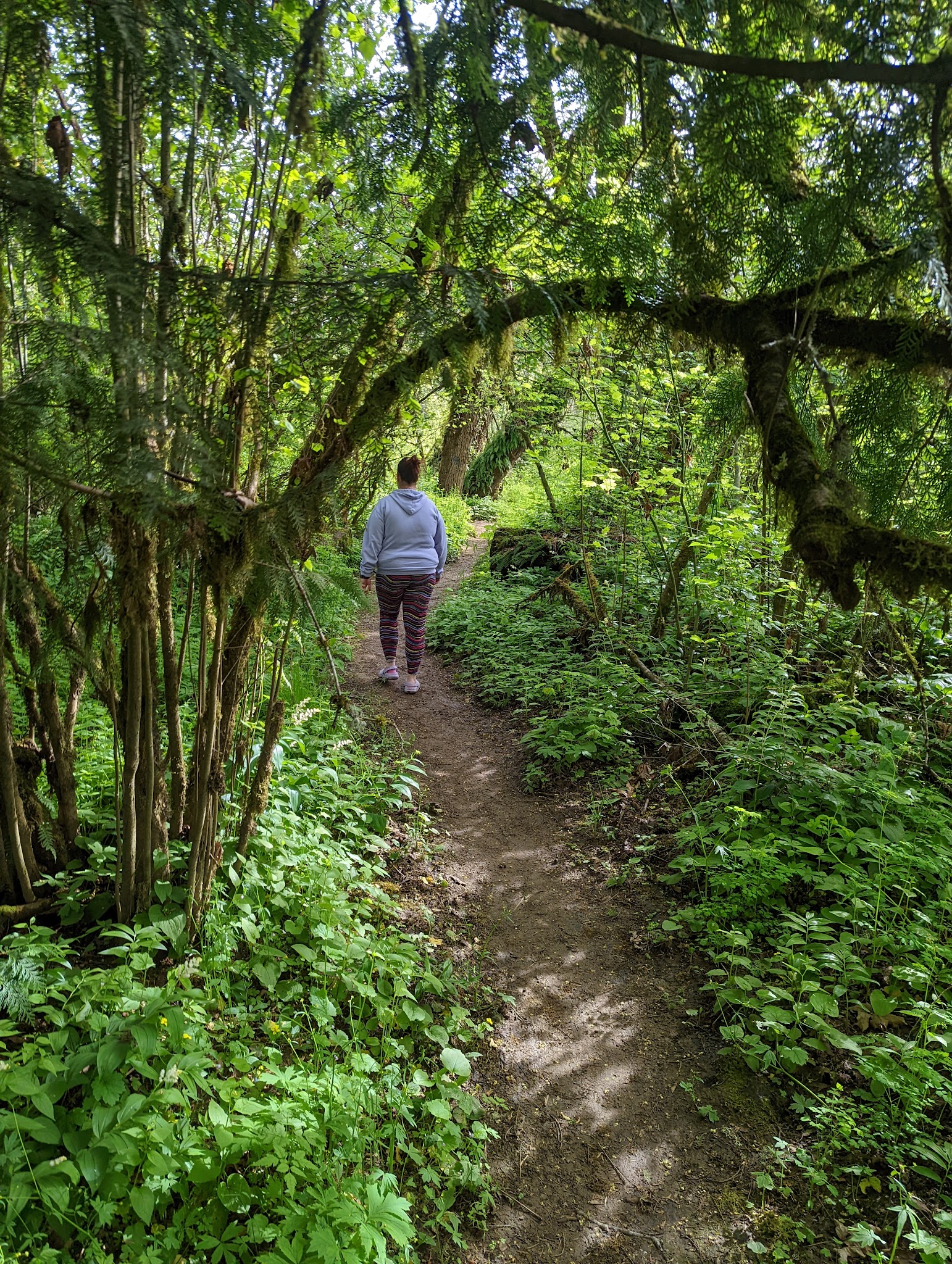 Sarah Helmick State Recreation Site