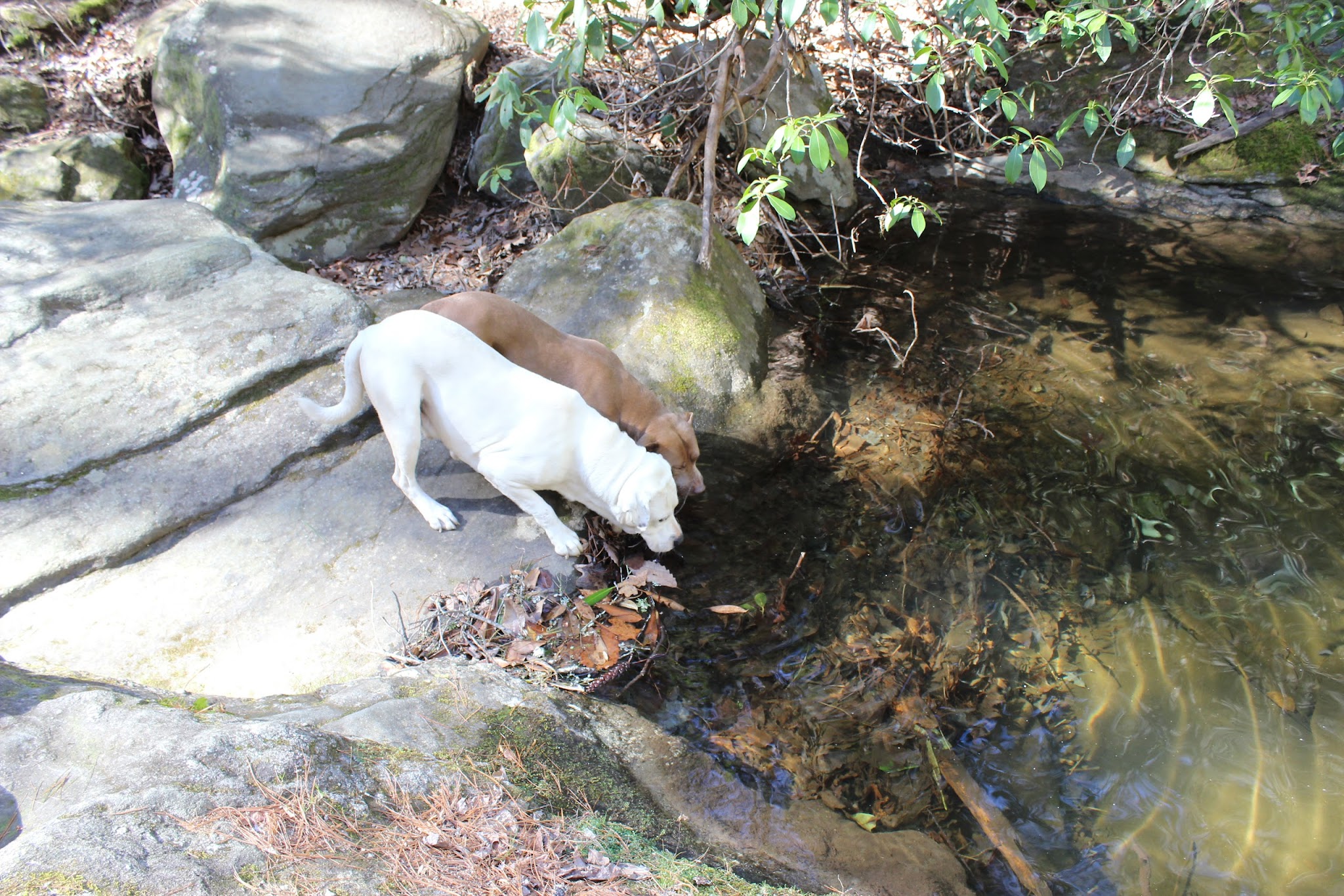 Sarah'S Creek Campground