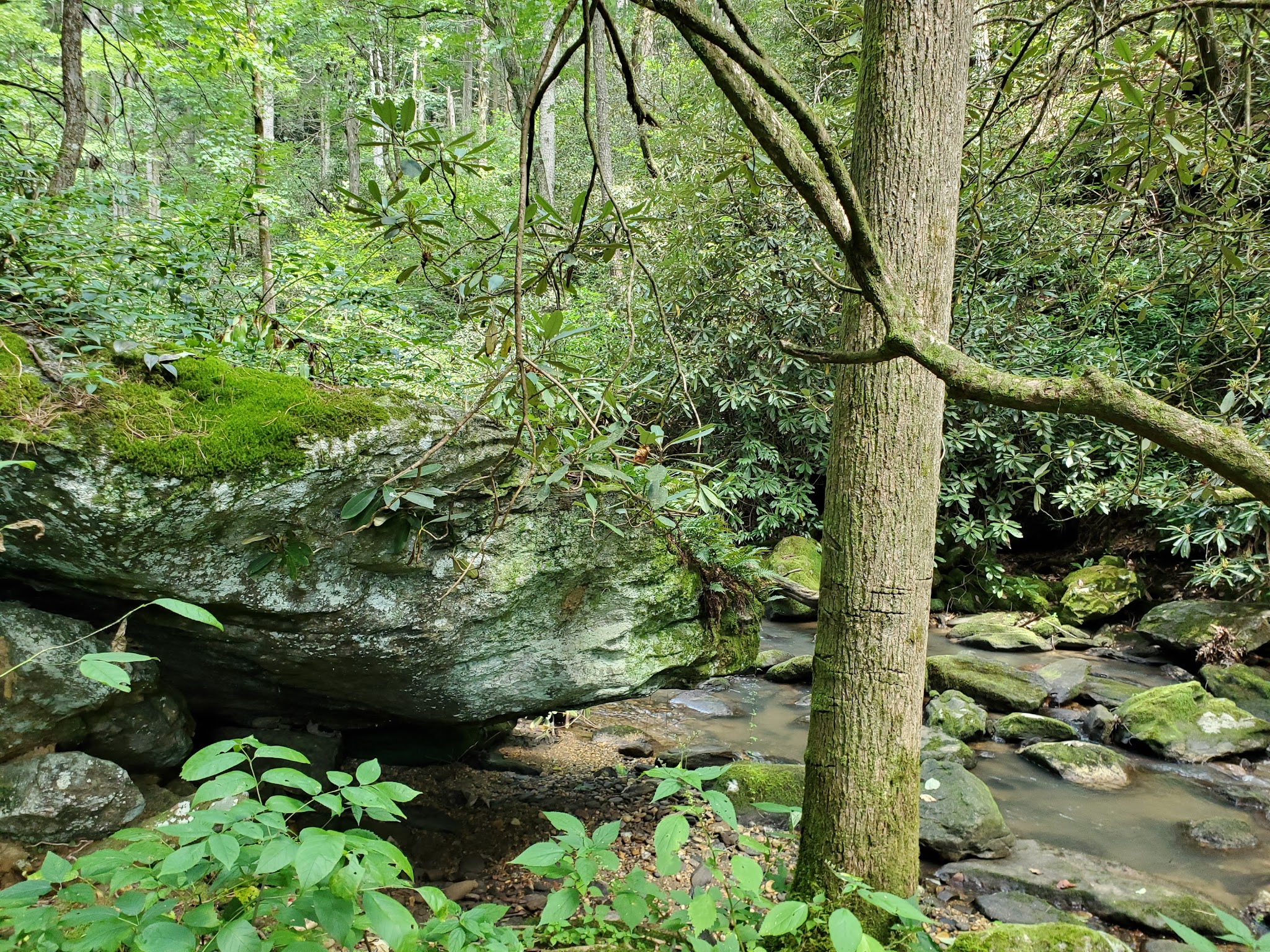 Sarah'S Creek Campground