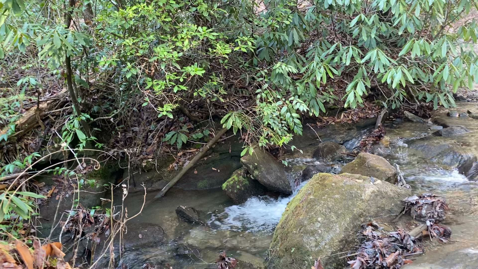 Sarah'S Creek Campground