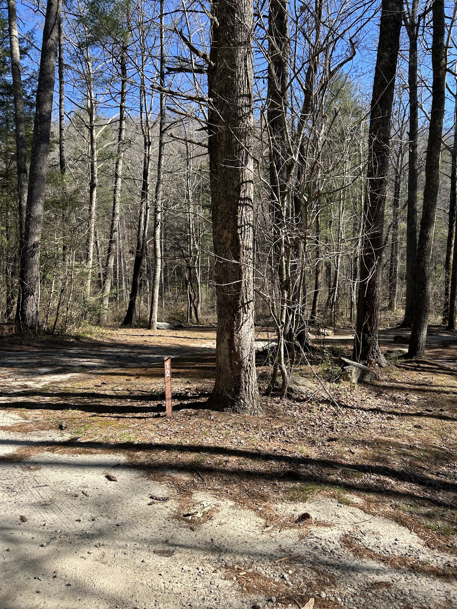 Sarah'S Creek Campground