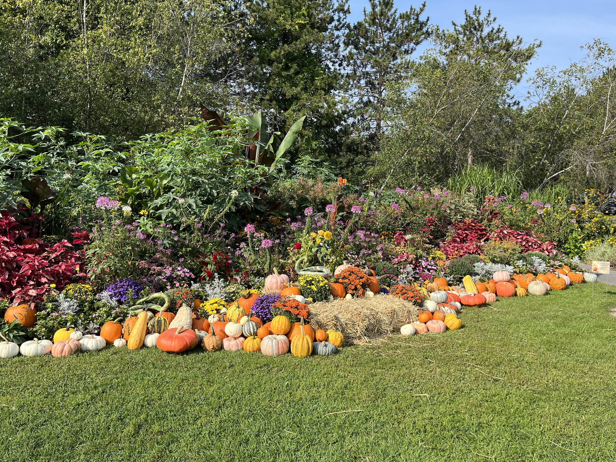 Saratoga Spa State Park